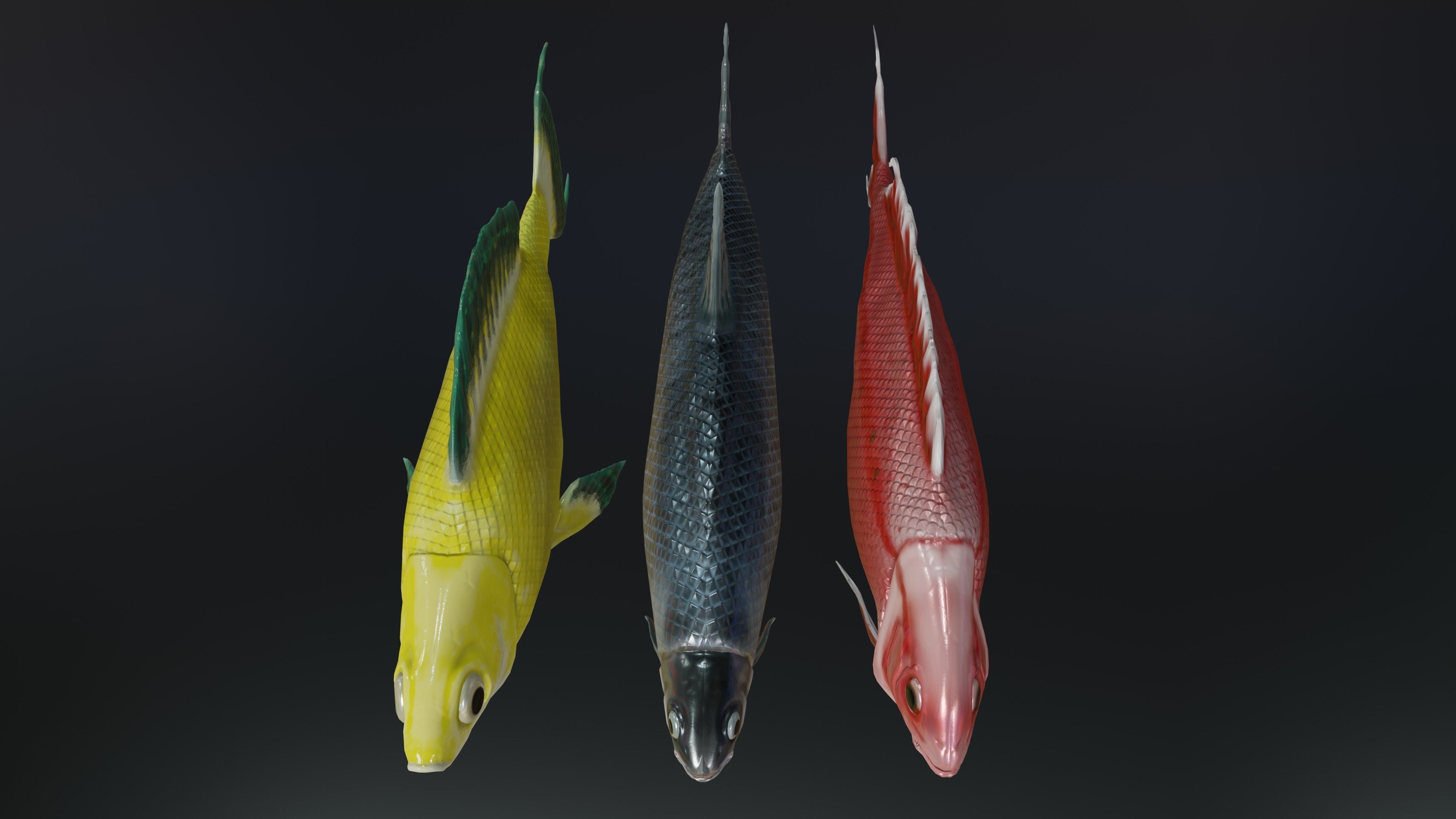 Fish Rigged Low-poly 3D model_8