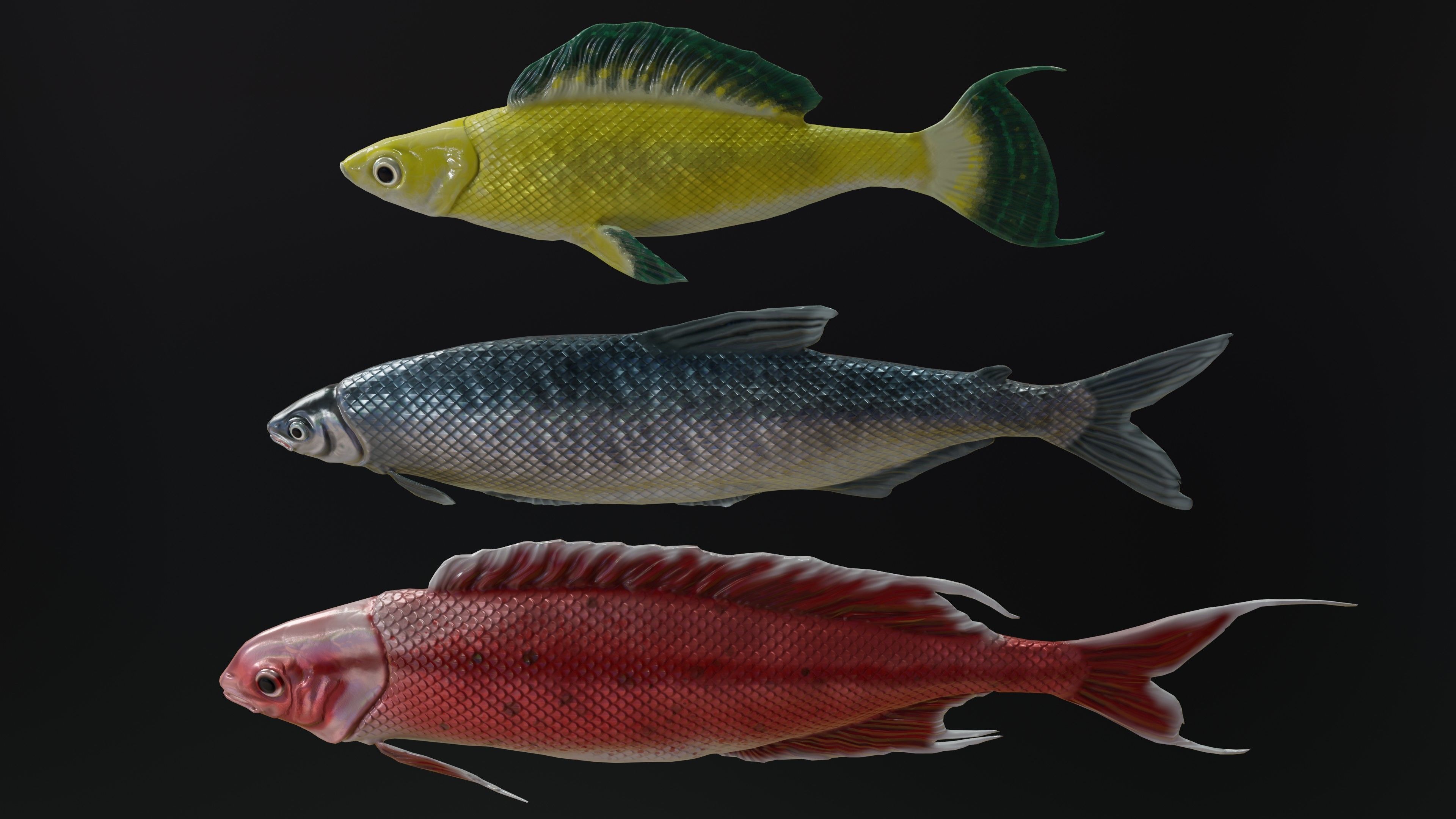 Fish Rigged Low-poly 3D model_13