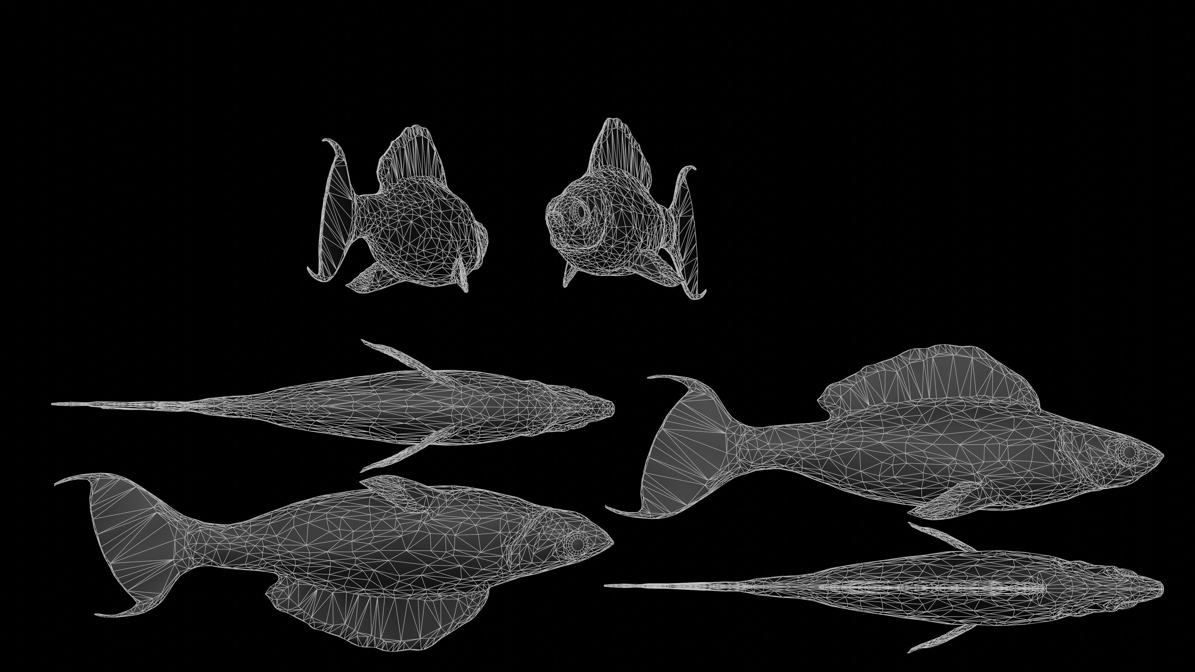 Fish Rigged Low-poly 3D model_30