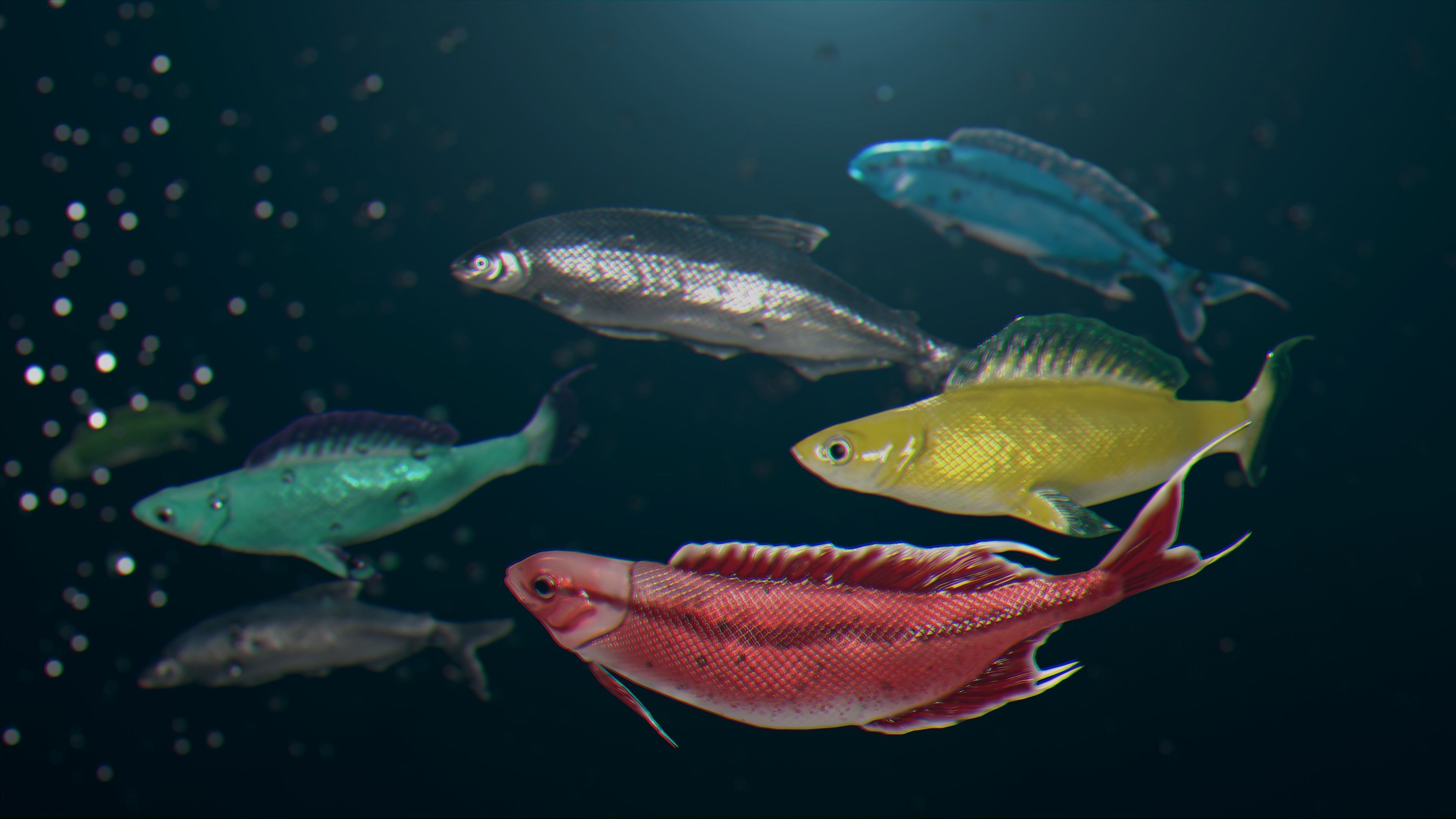 Fish Rigged Low-poly 3D model_2