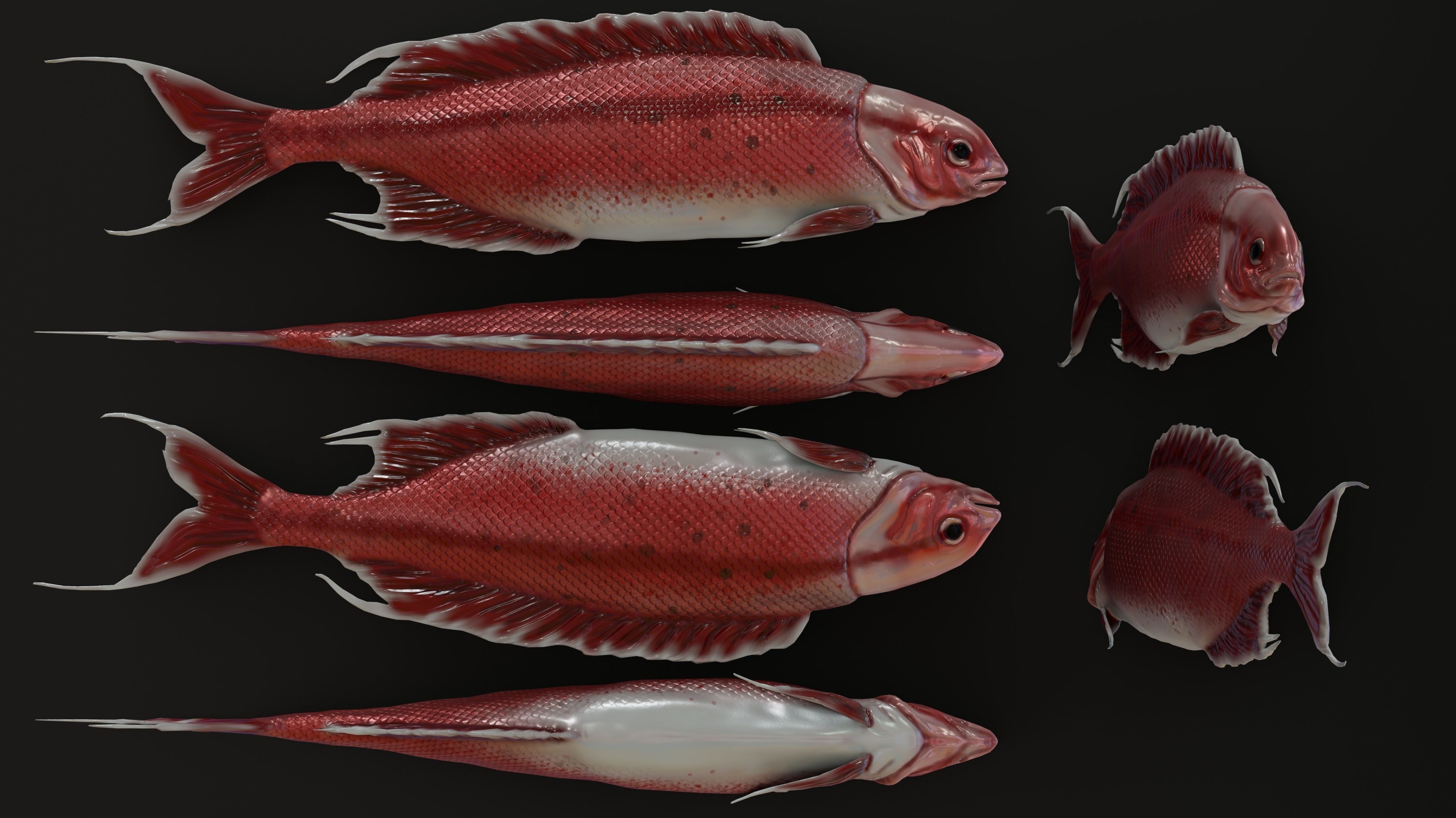 Fish Rigged Low-poly 3D model_21