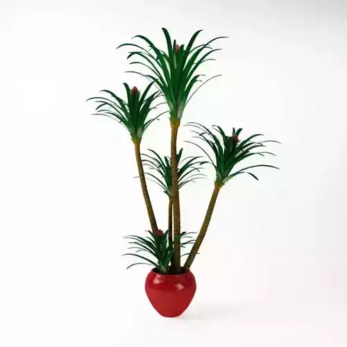 Tropical Plant In A Red Pot