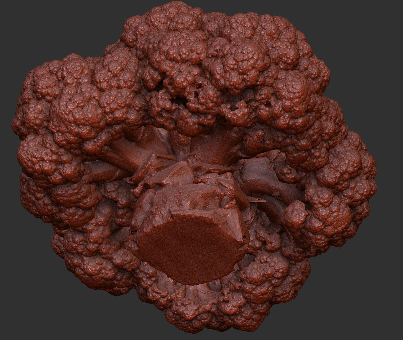 Broccoli 3D model_10