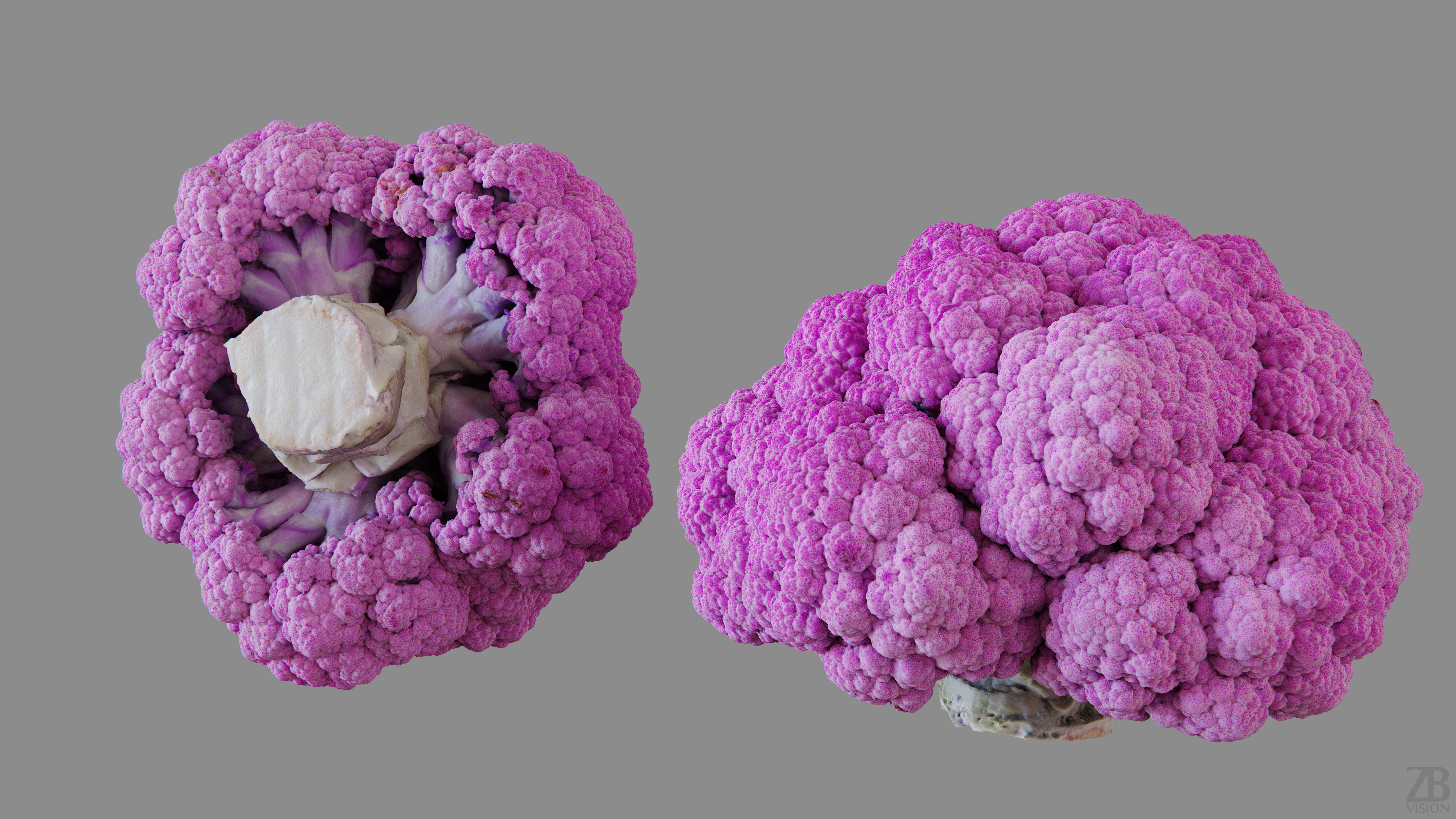 Broccoli 3D model_12