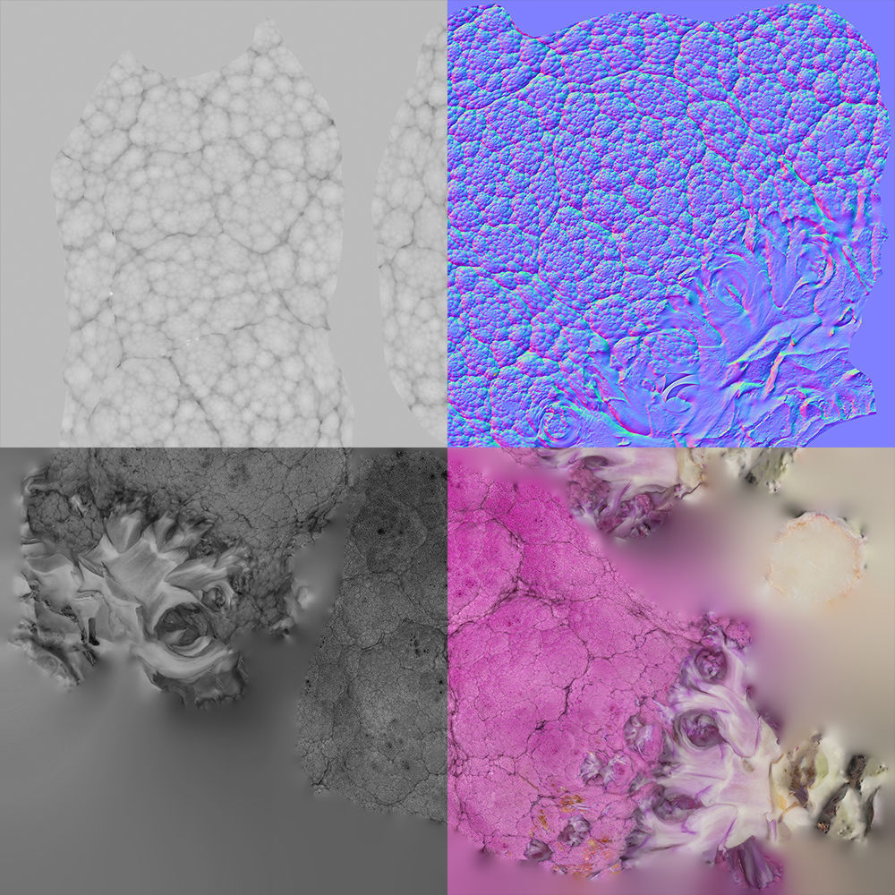 Broccoli 3D model_11