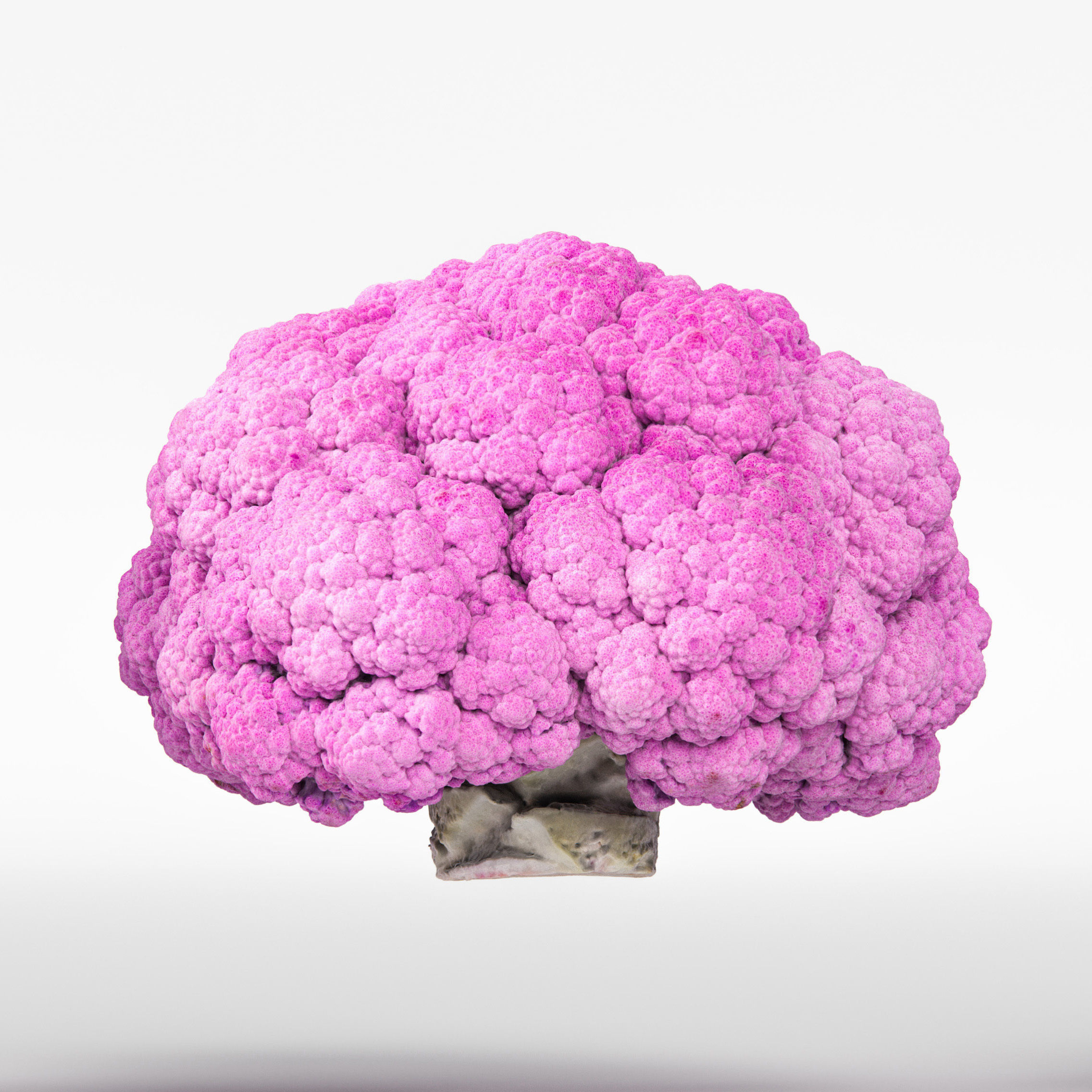 Broccoli 3D model_5