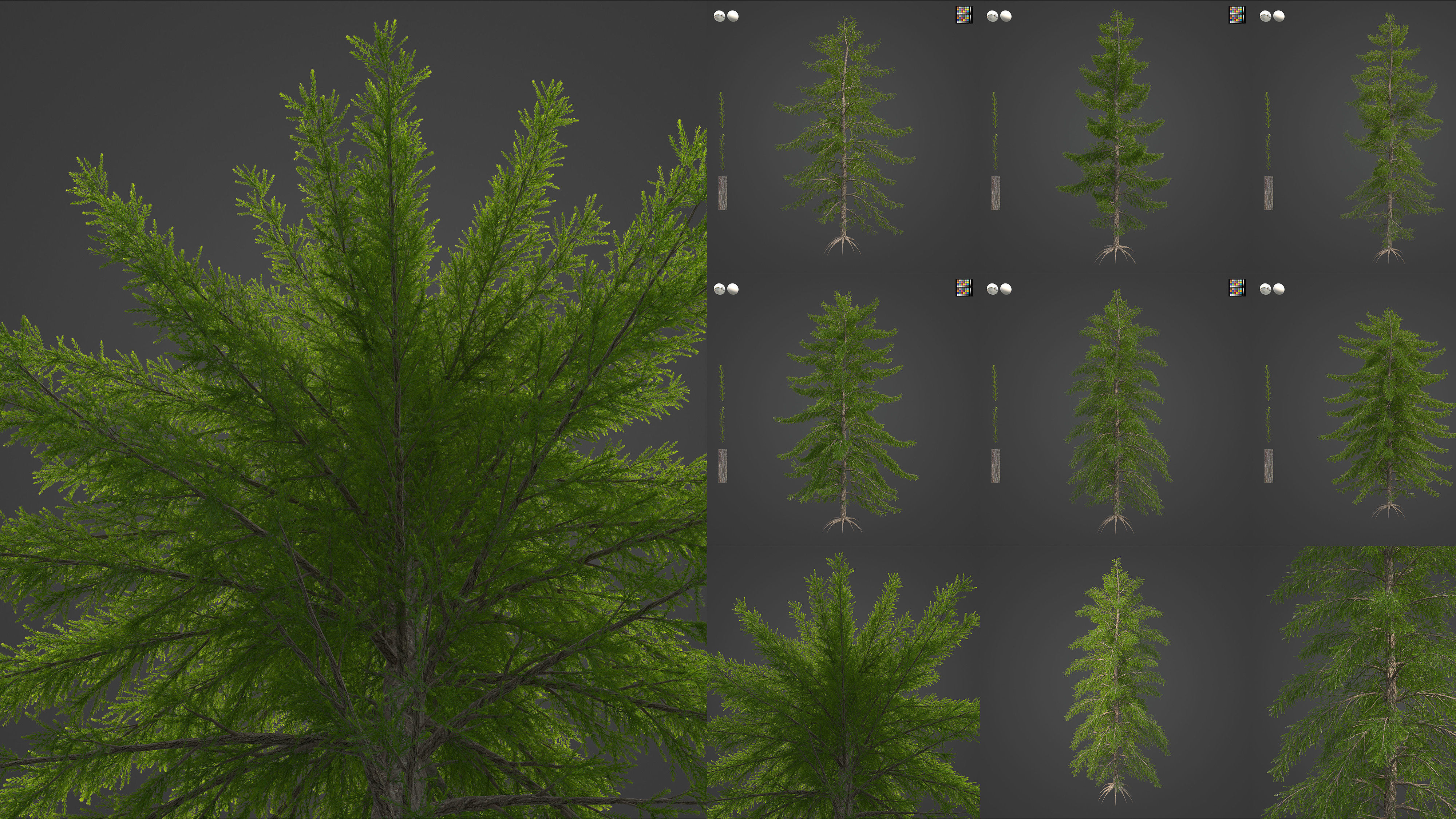 Xfrog Europe 3D Model Collection_7