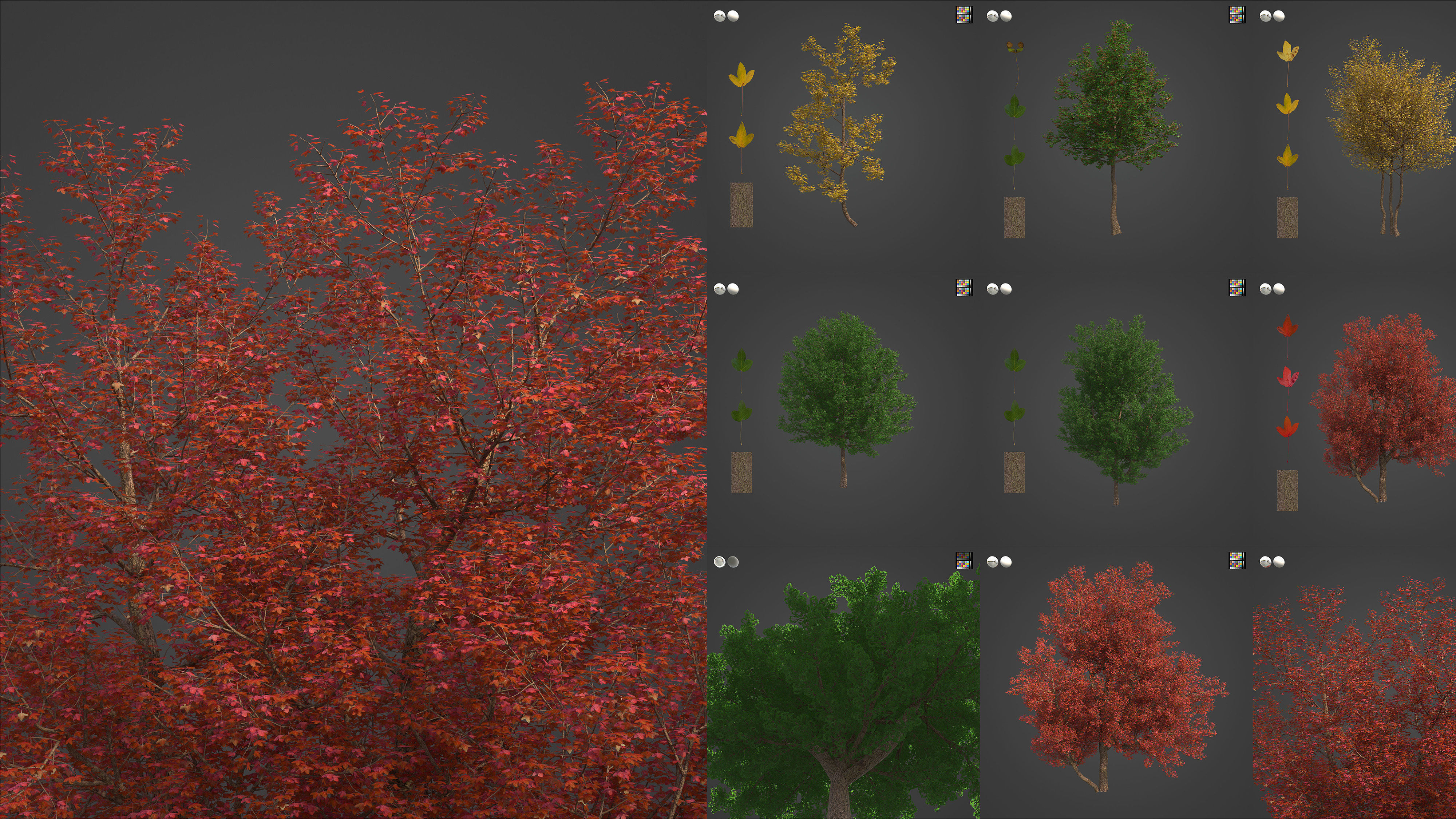 Xfrog Europe 3D Model Collection_9