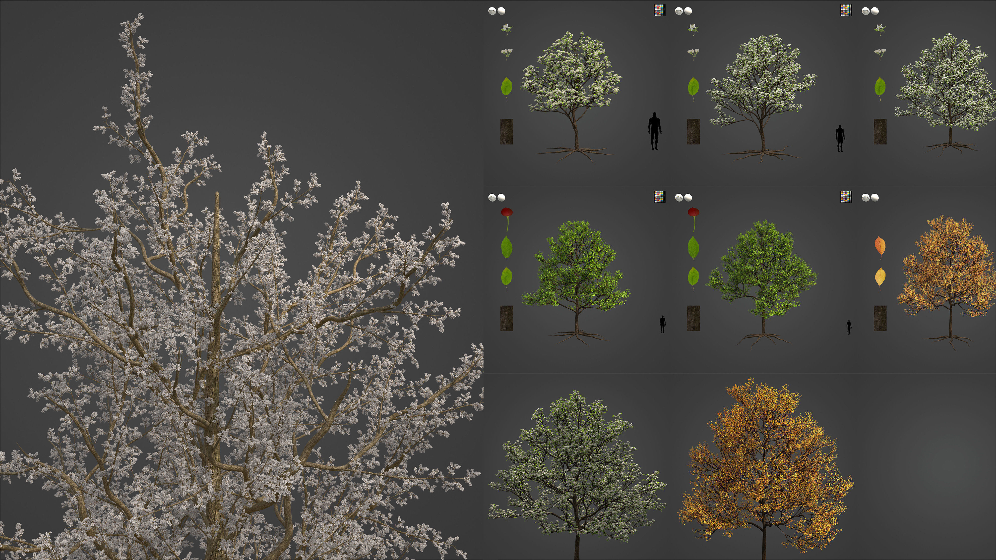 Xfrog Europe 3D Model Collection_8