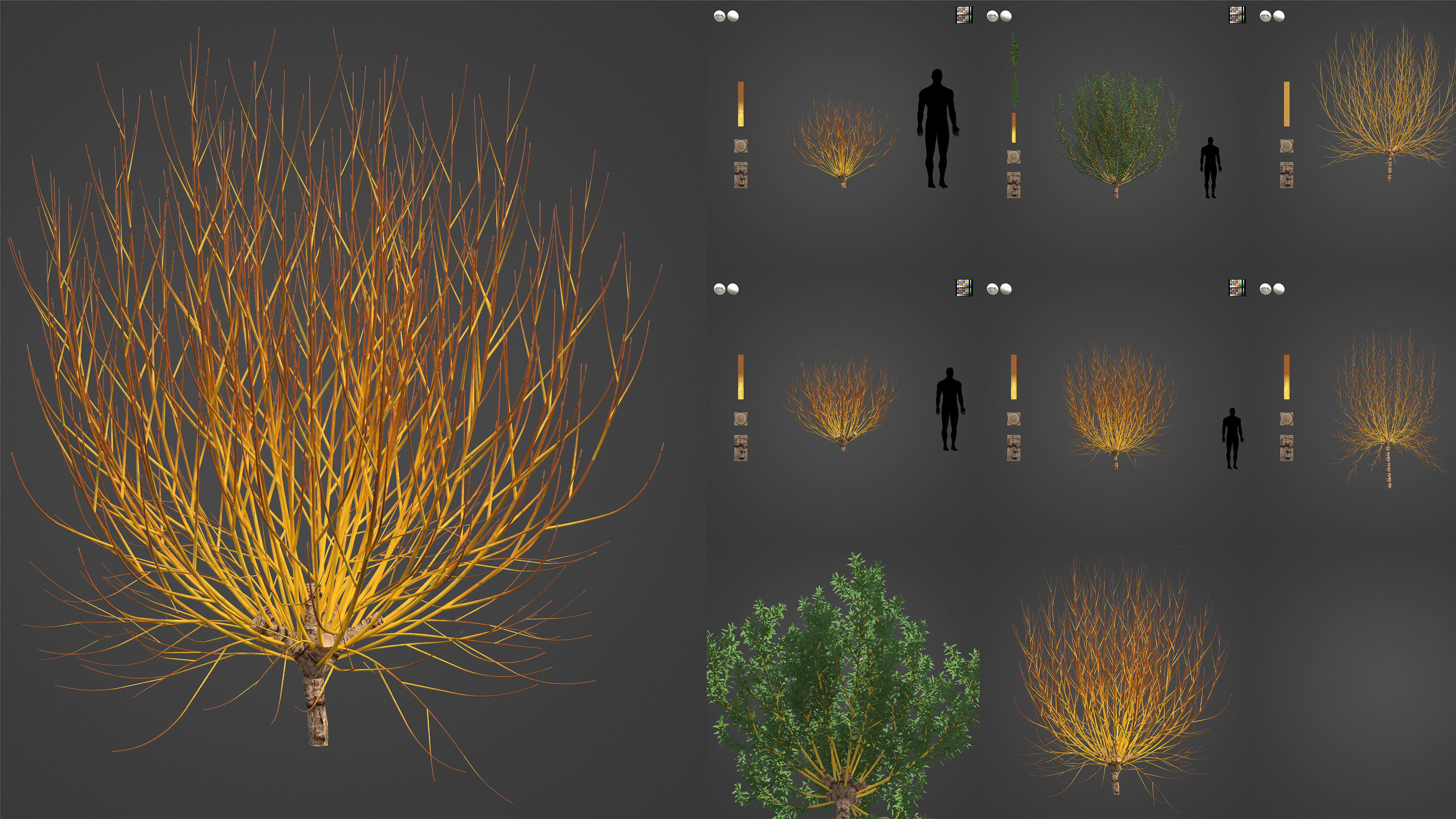 Xfrog Europe 3D Model Collection_4