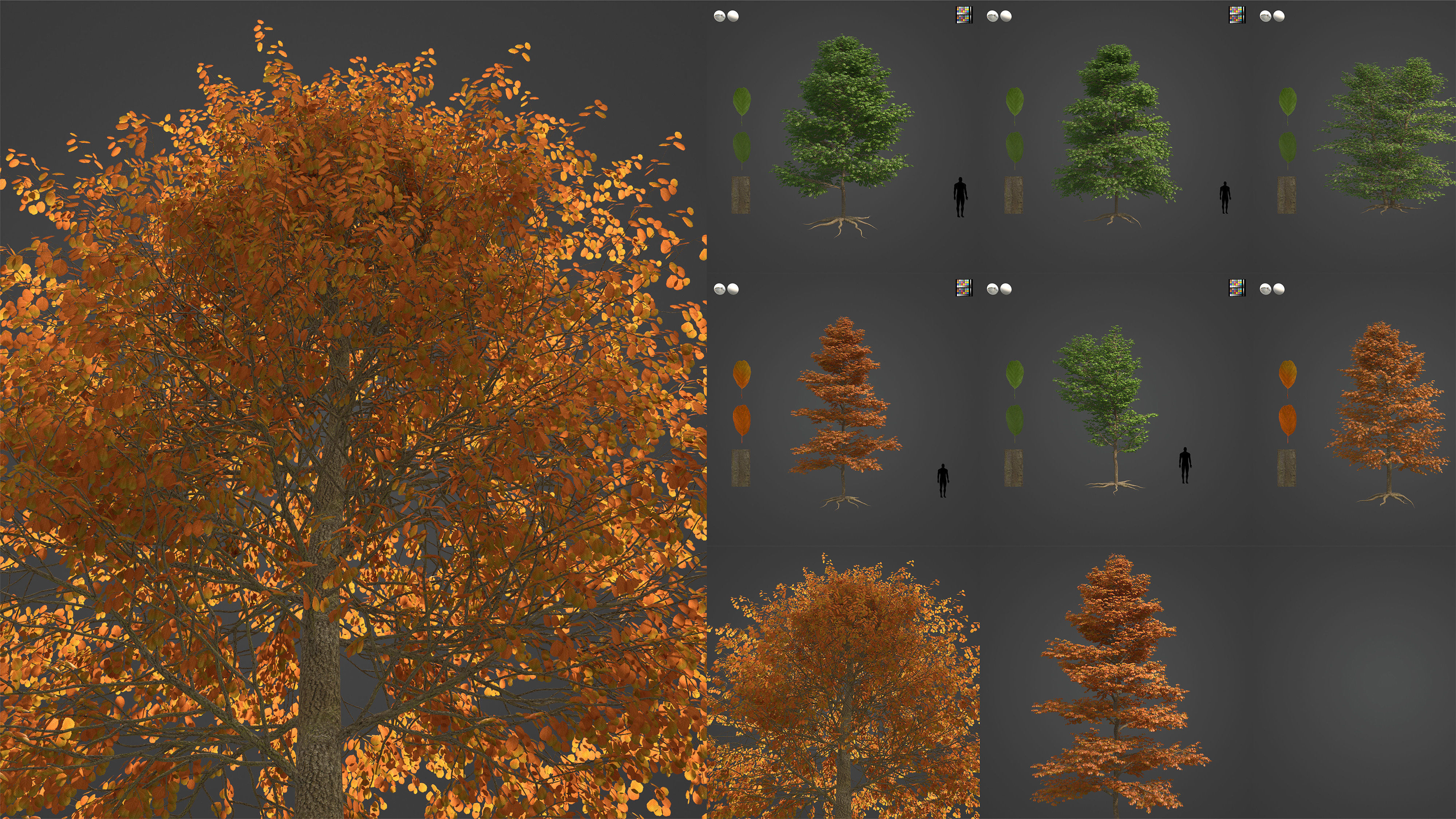 Xfrog Europe 3D Model Collection_3