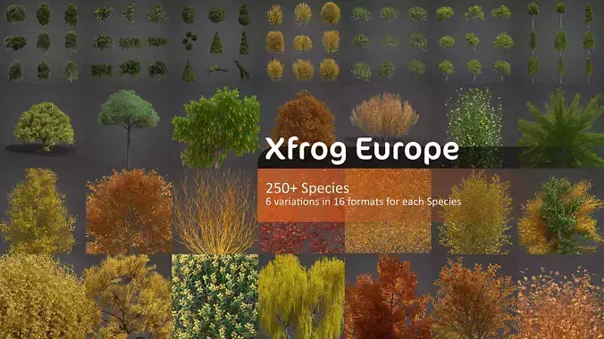 Xfrog Europe 3D Model Collection