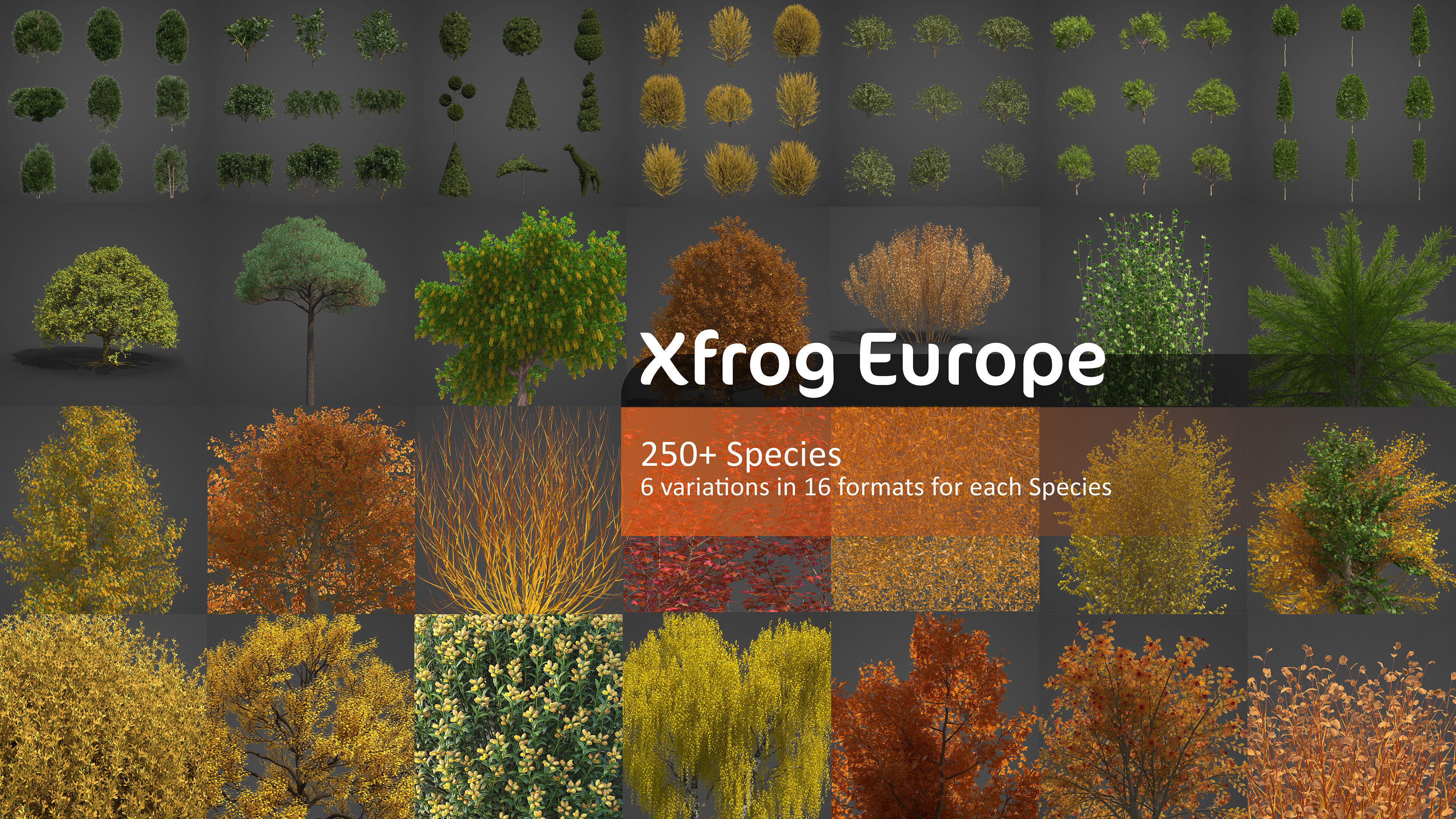 Xfrog Europe 3D Model Collection_0