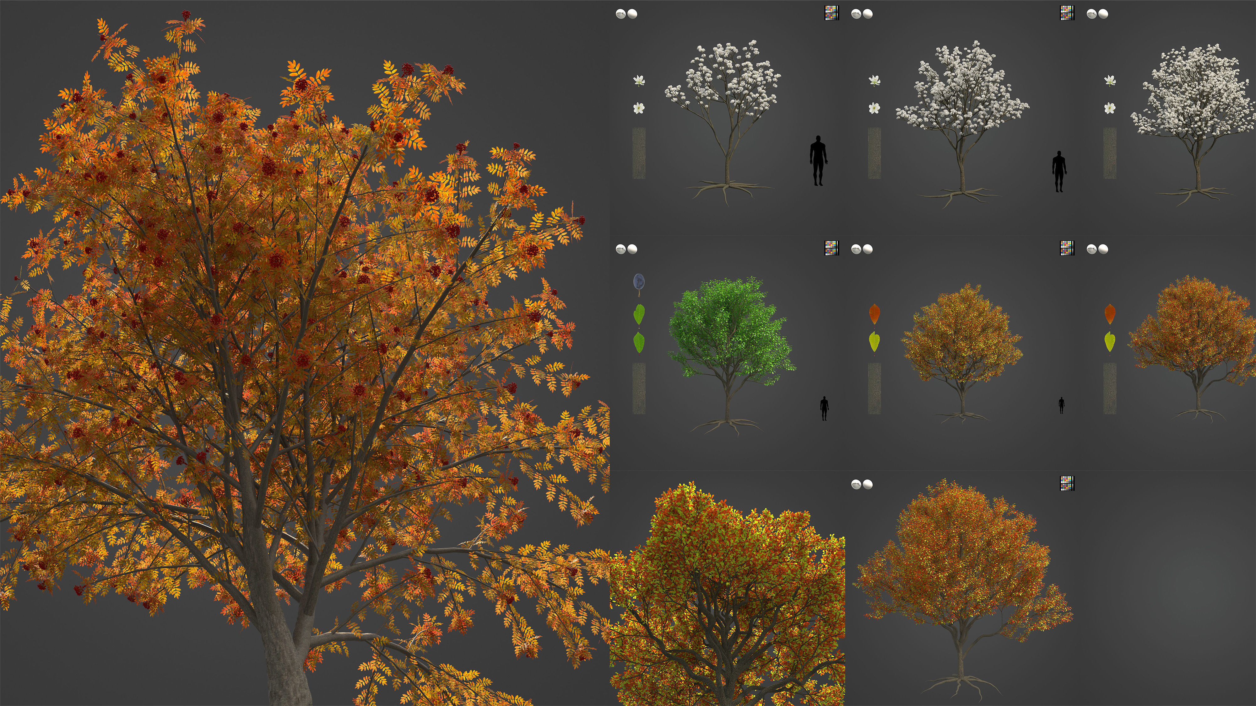 Xfrog Europe 3D Model Collection_11