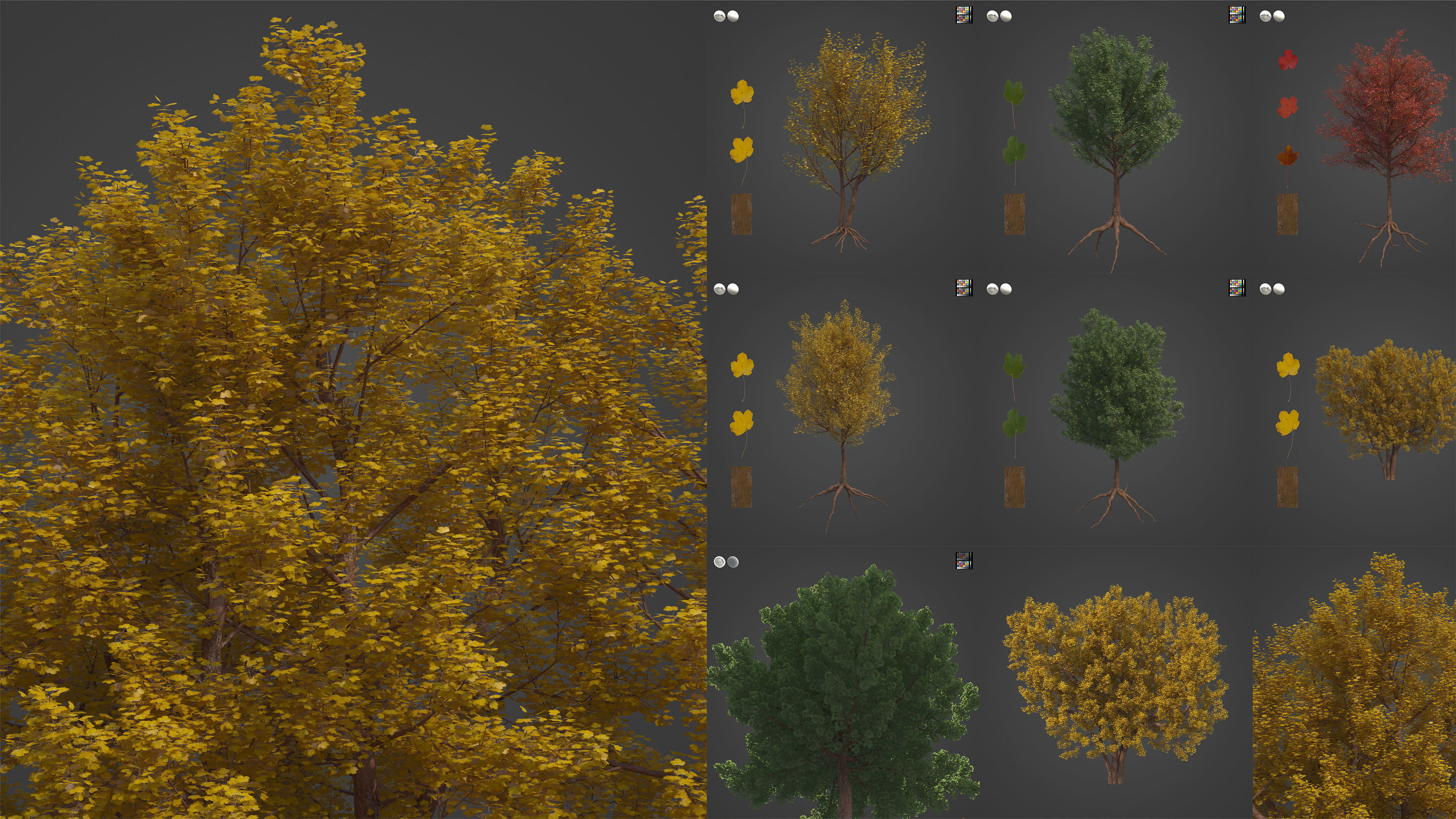 Xfrog Europe 3D Model Collection_6