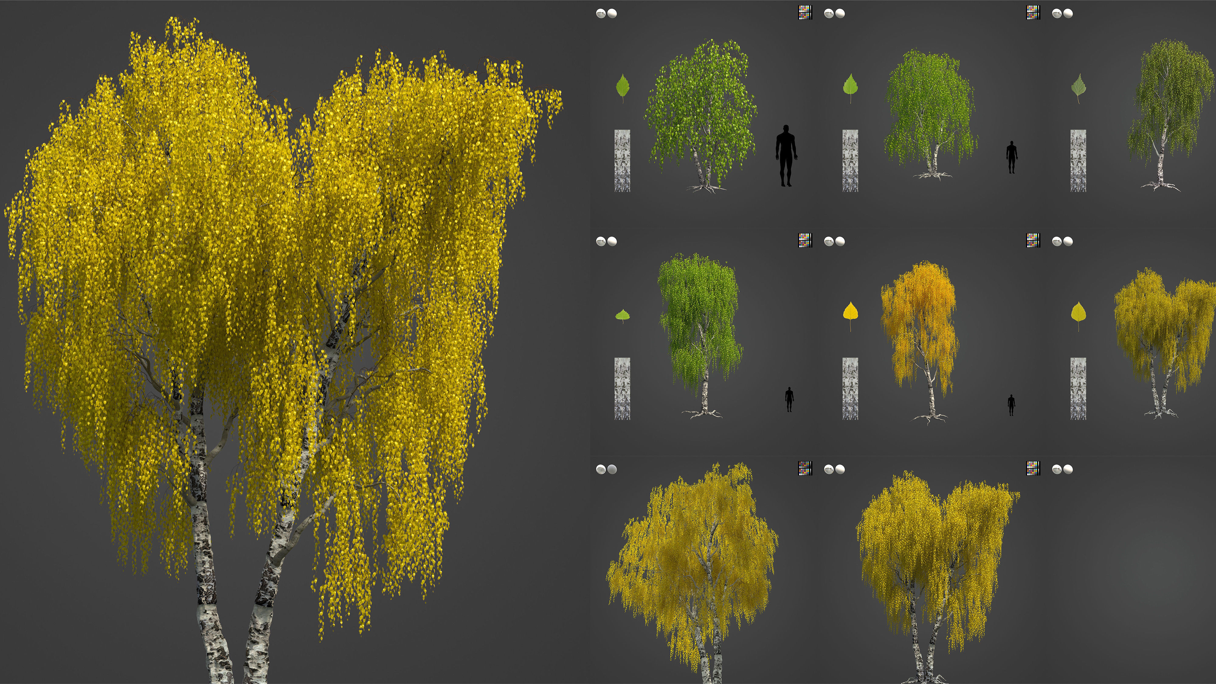 Xfrog Europe 3D Model Collection_10