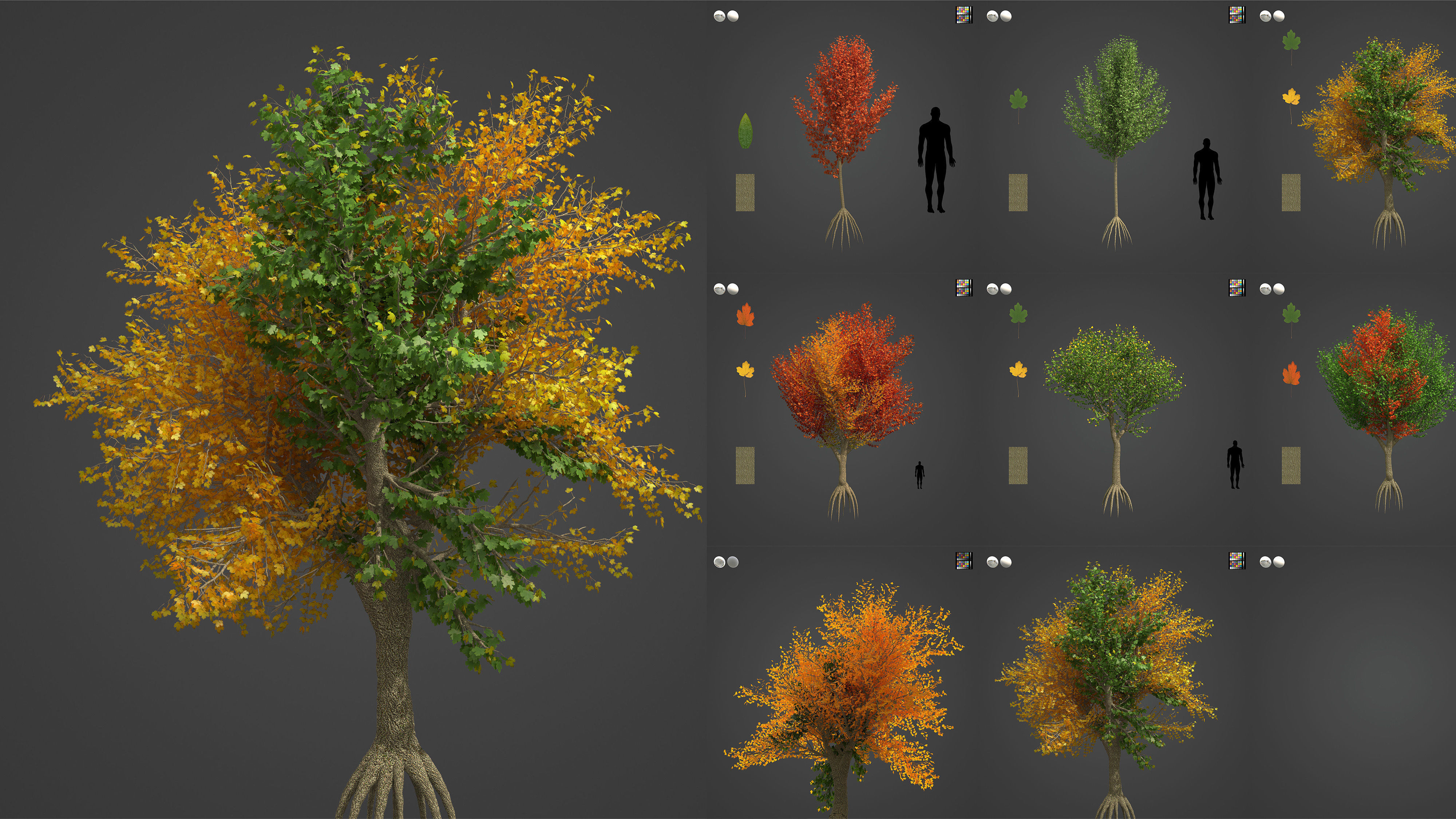 Xfrog Europe 3D Model Collection_2