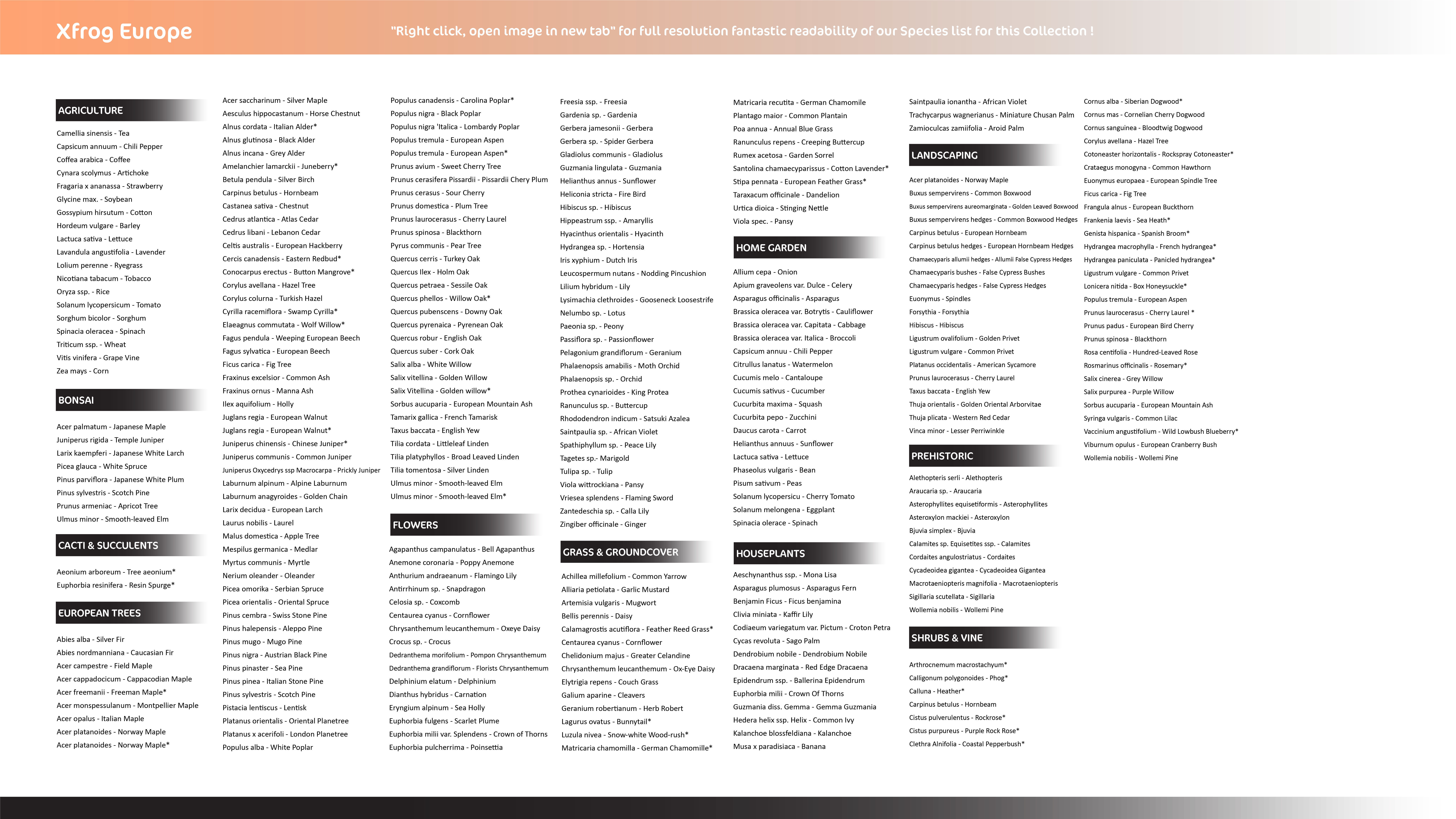 Xfrog Europe 3D Model Collection_1