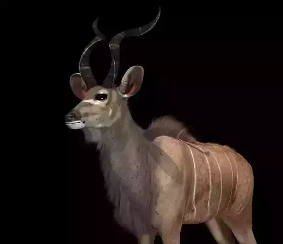 Deer 3d model african antelope 3D model