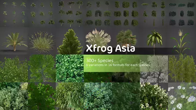Xfrog Asia 3D Model Collection