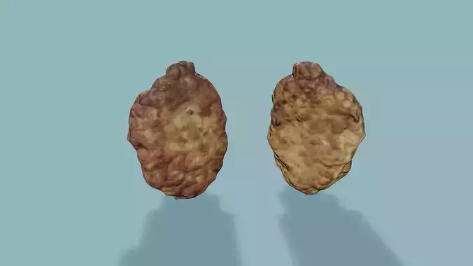 3D Scan Fried Cutlet Low-poly 3D model