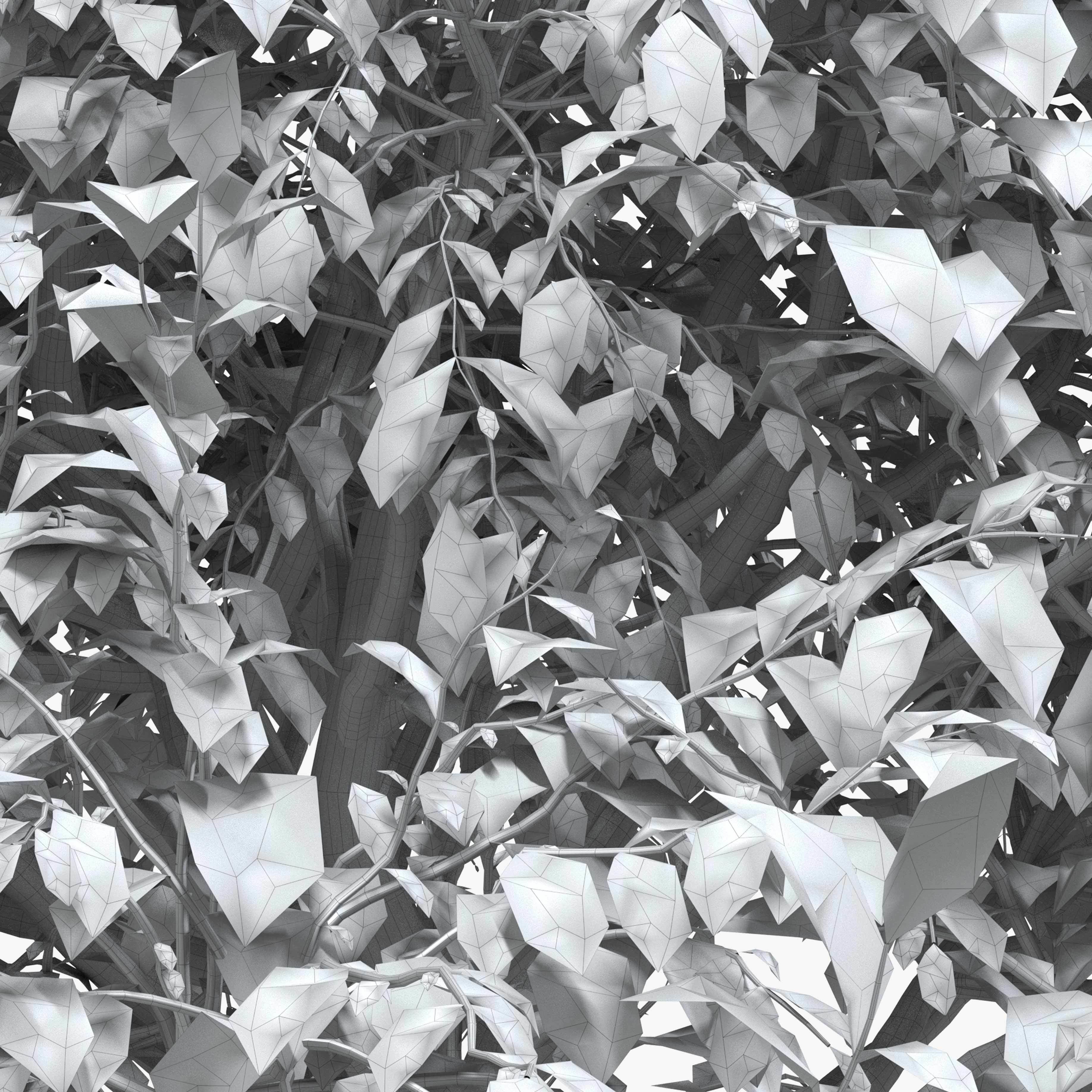 Walnut tree - three walnut trees 3D model_9