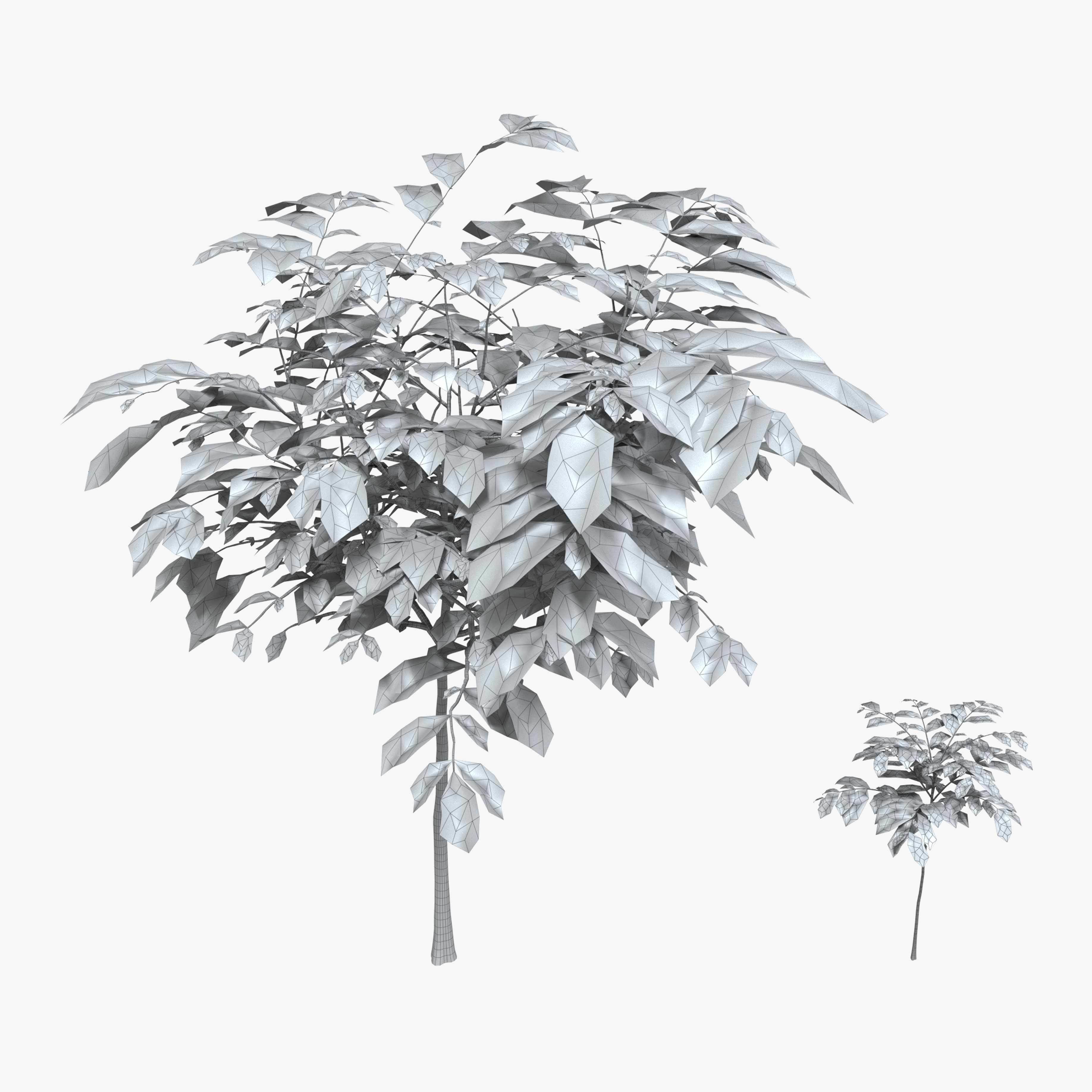 Walnut tree - three walnut trees 3D model_7