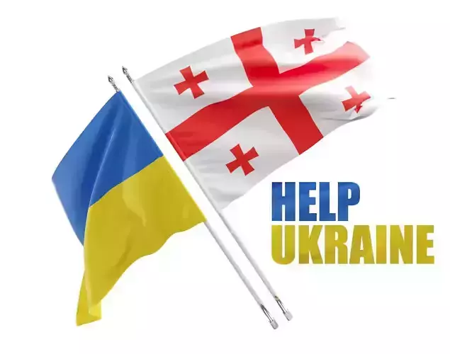 Flag Georgia Ukraine Support 3D model