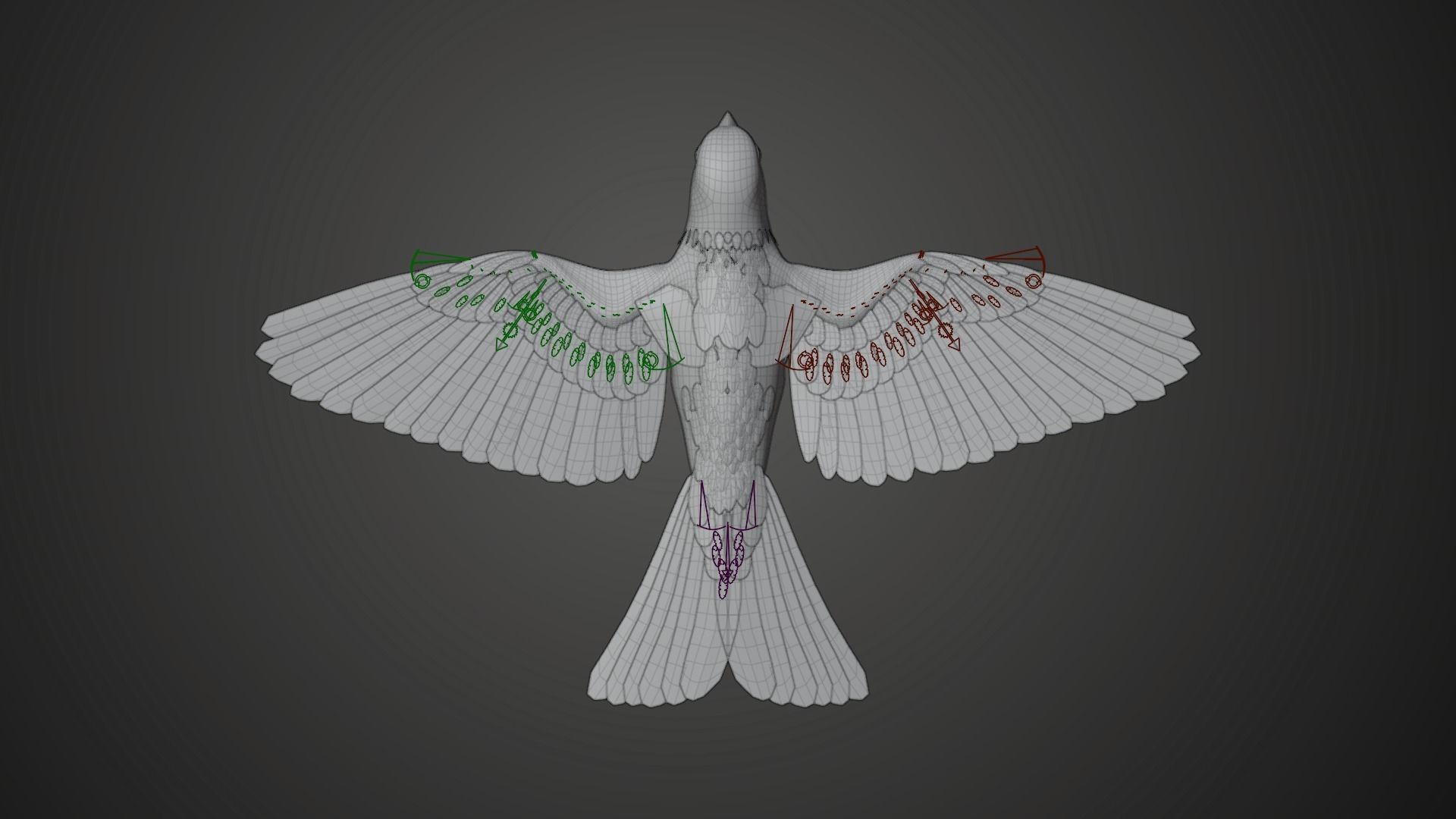 Sparrow Animated VFX Grace 3D model_22