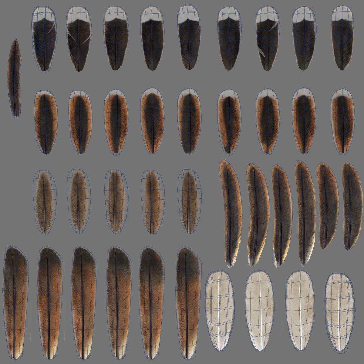 Sparrow Animated VFX Grace 3D model_34