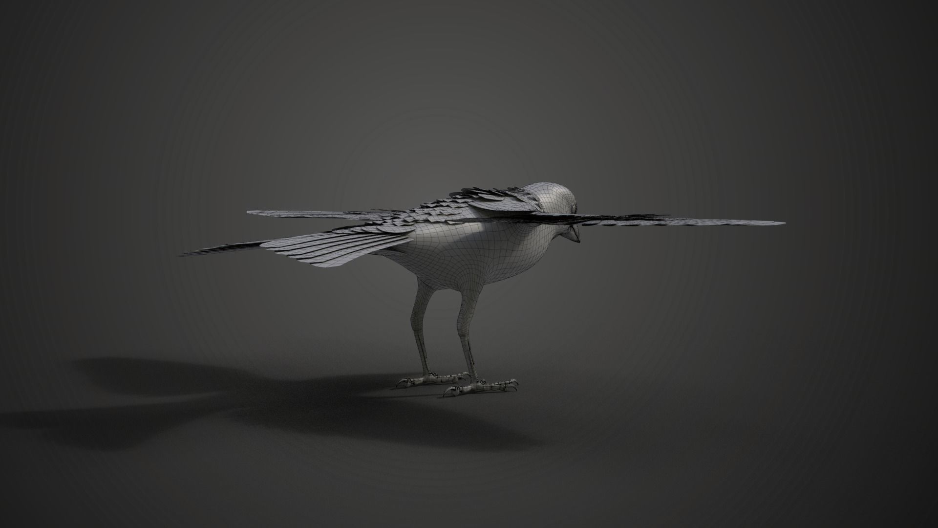 Sparrow Animated VFX Grace 3D model_26