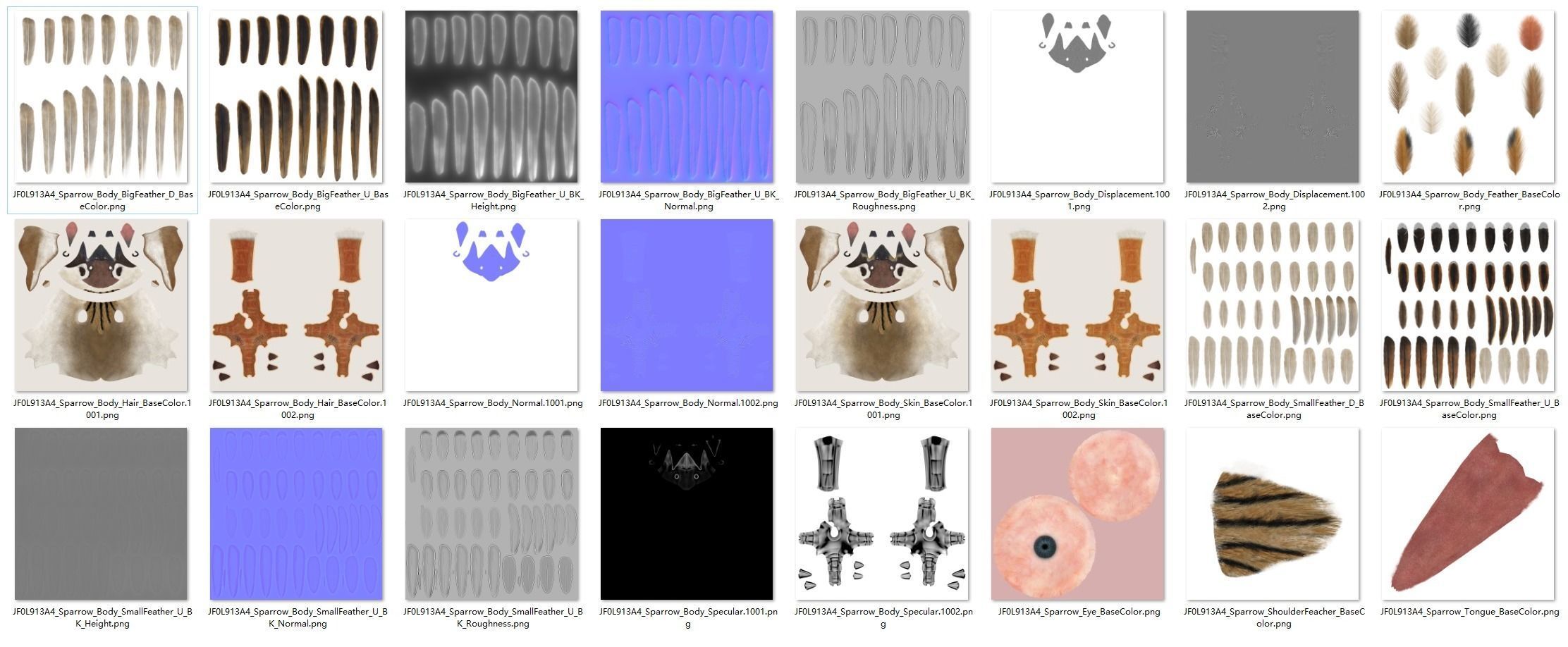 Sparrow Animated VFX Grace 3D model_29
