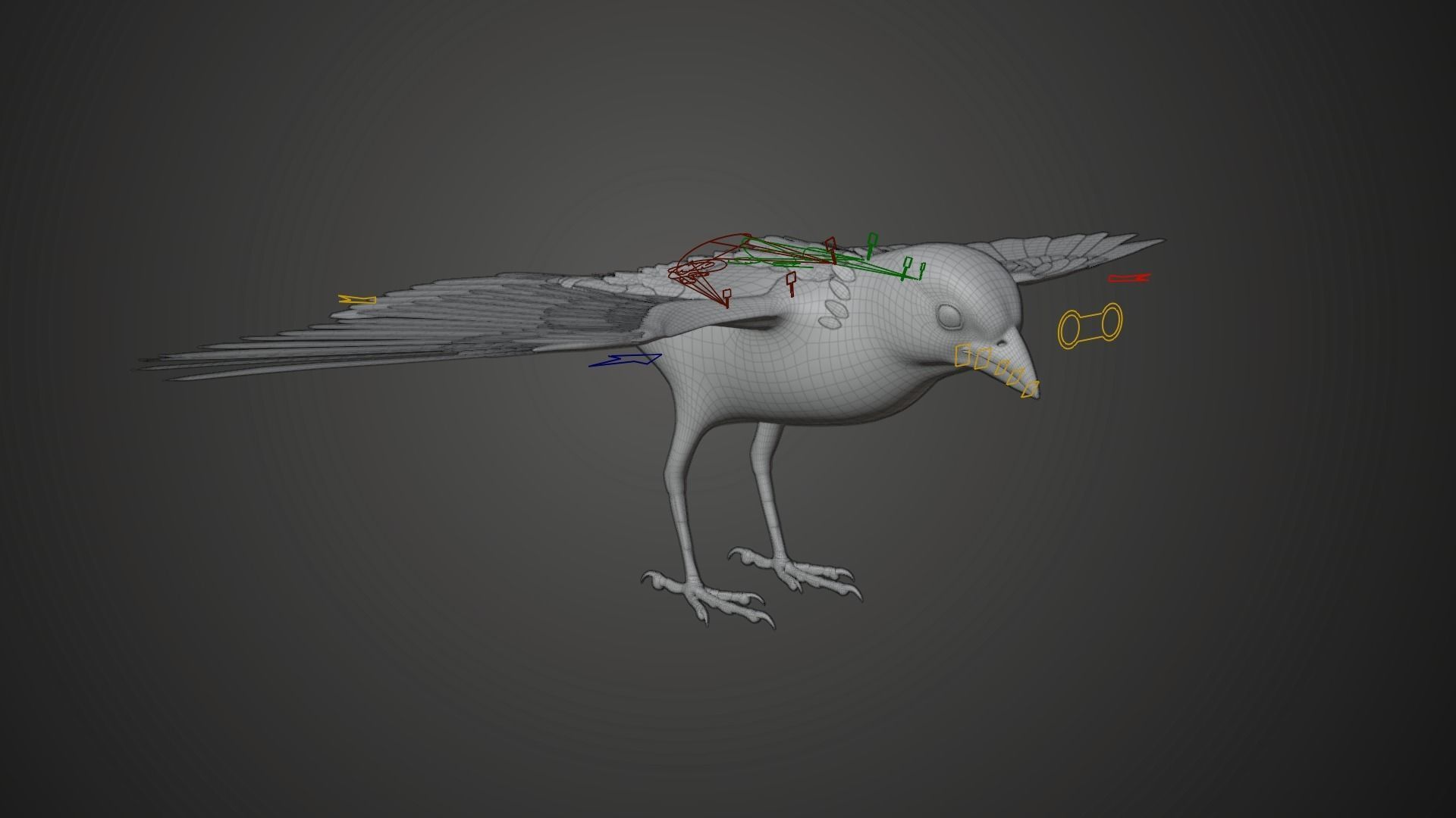 Sparrow Animated VFX Grace 3D model_19