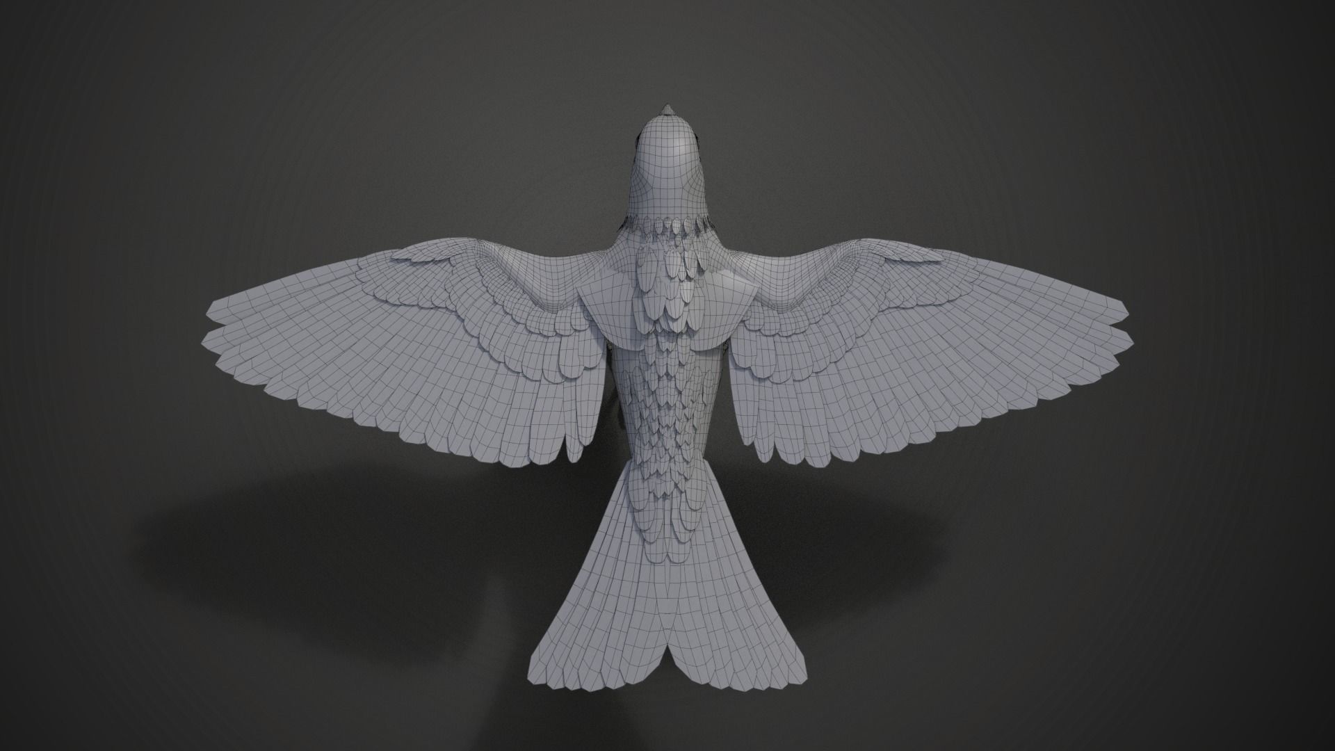 Sparrow Animated VFX Grace 3D model_25