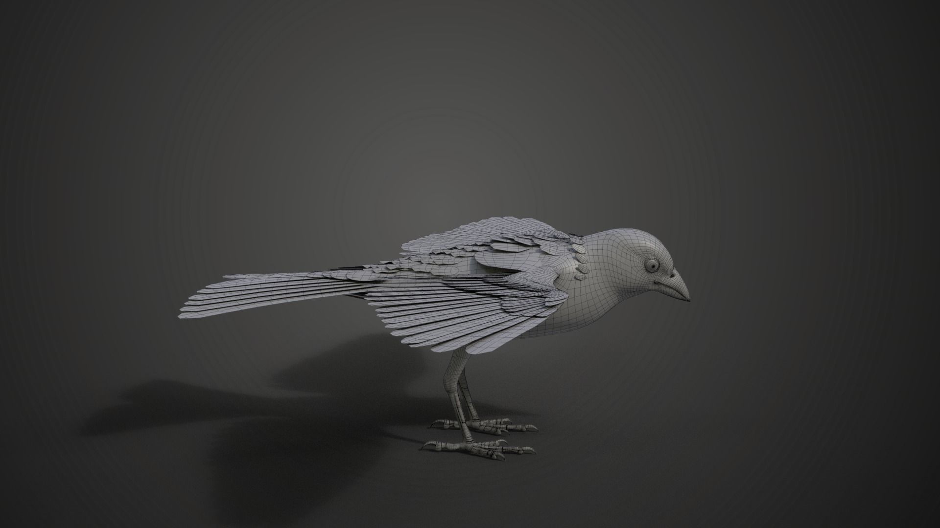 Sparrow Animated VFX Grace 3D model_28