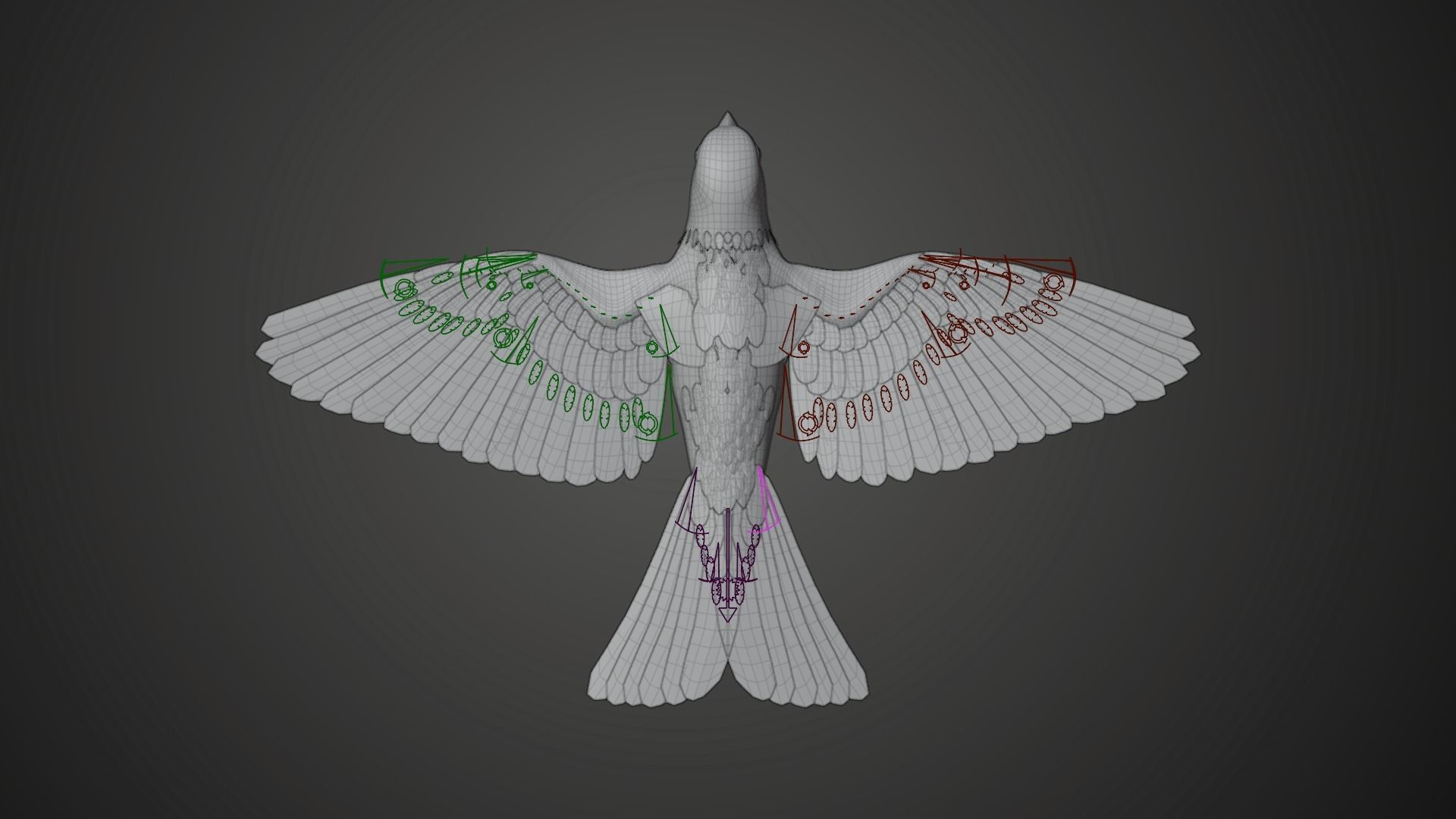 Sparrow Animated VFX Grace 3D model_21