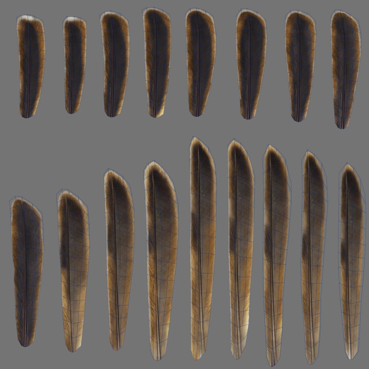 Sparrow Animated VFX Grace 3D model_35