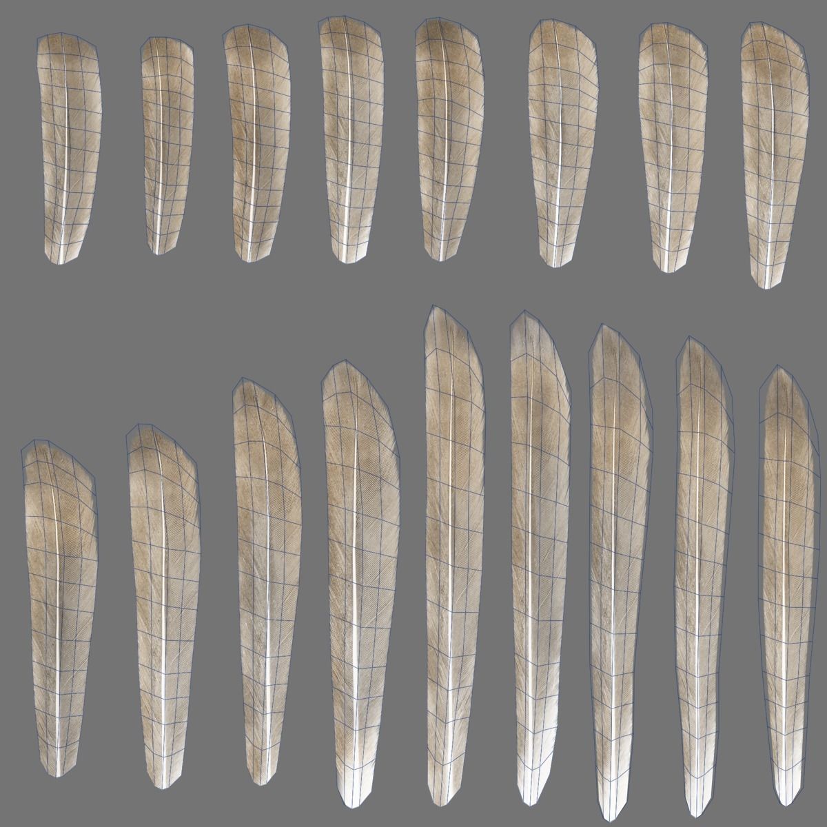 Sparrow Animated VFX Grace 3D model_36