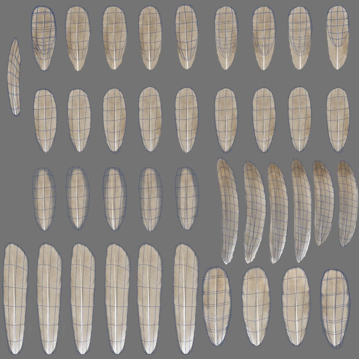 Sparrow Animated VFX Grace 3D model_37