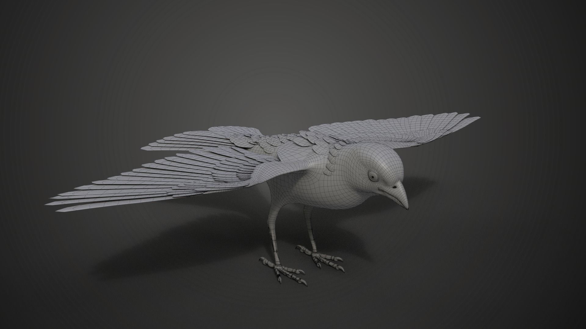 Sparrow Animated VFX Grace 3D model_27