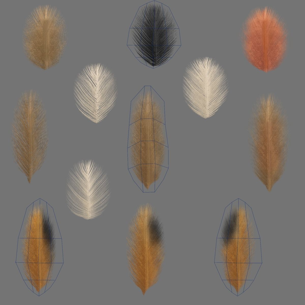 Sparrow Animated VFX Grace 3D model_33