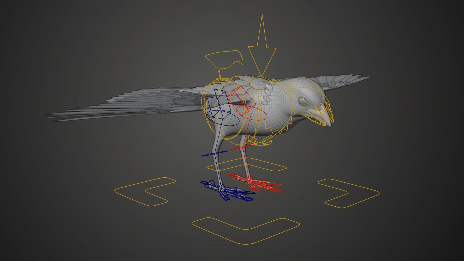 Sparrow Animated VFX Grace 3D model_18