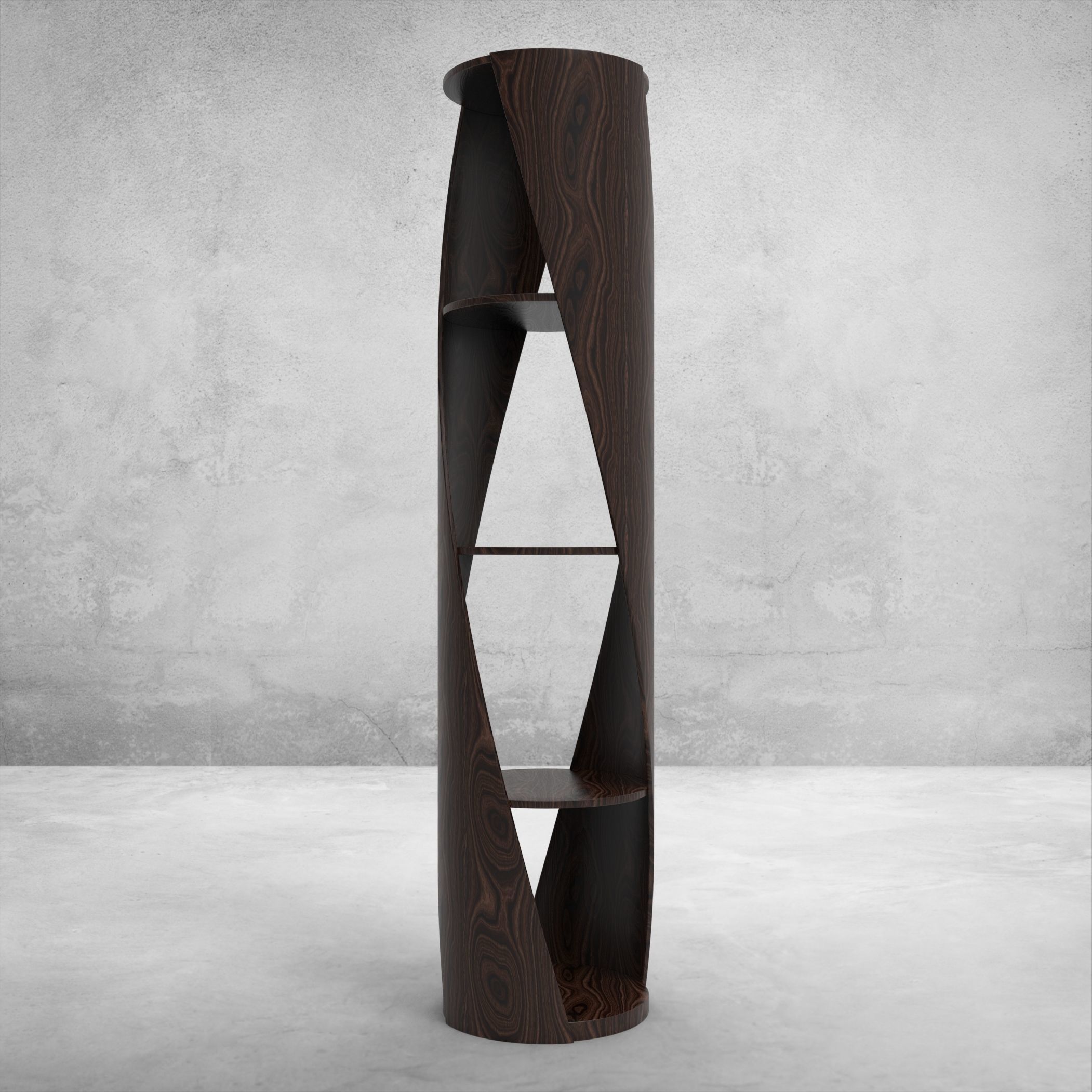 Shelf wooden bookcase with spiral design 3D model_6