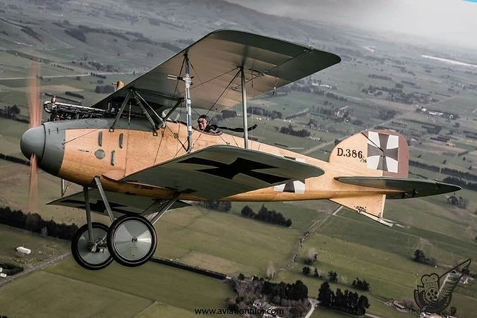 albatros d2 3D model