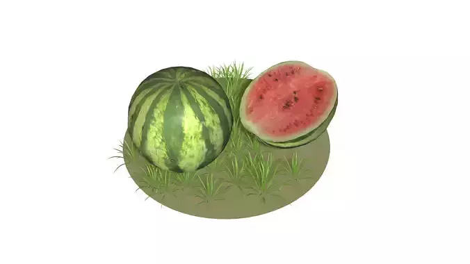 WatermelonS watermelon in grass 3D model