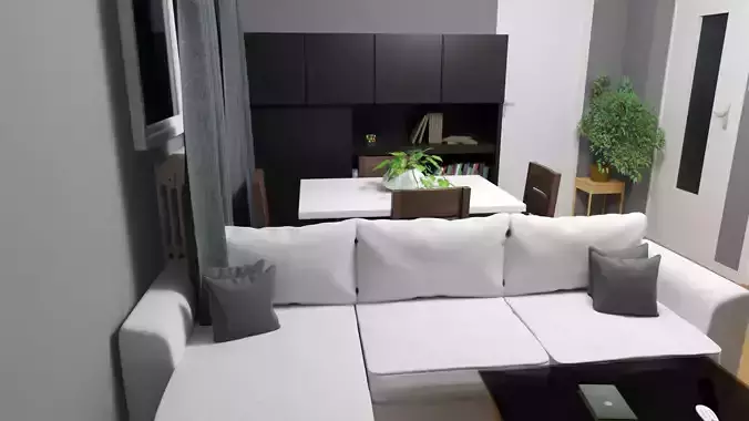 apartment studio interior living room kitchen bedroom