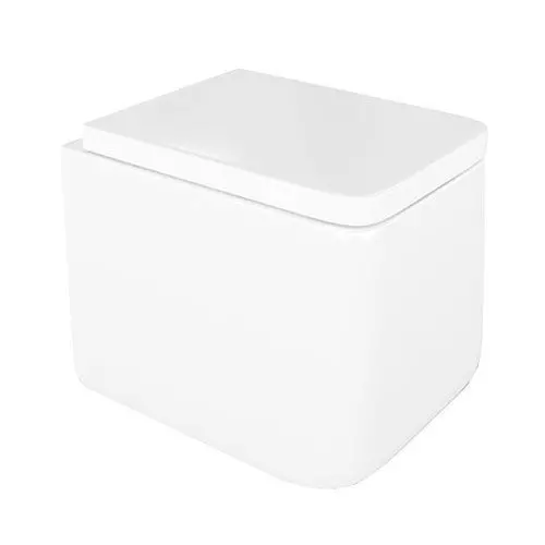 Square White Toilet Bowl With Rounded Edges 3D model_0