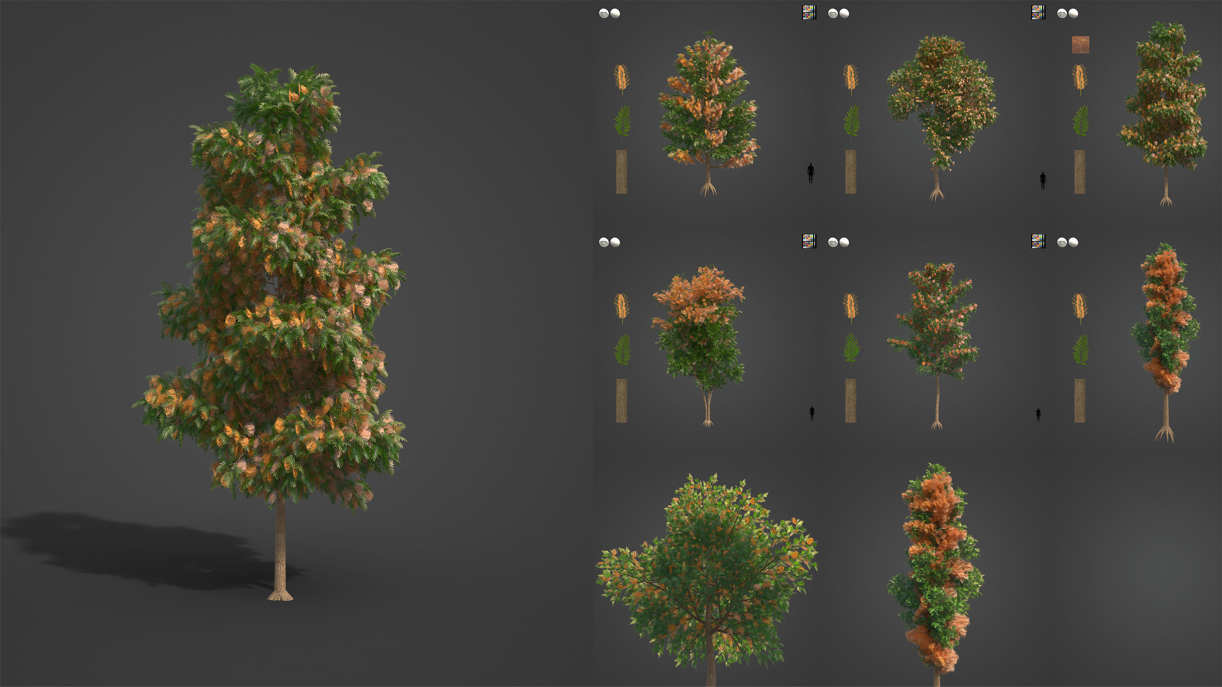 Xfrog Oceania 3D Model Collection_10