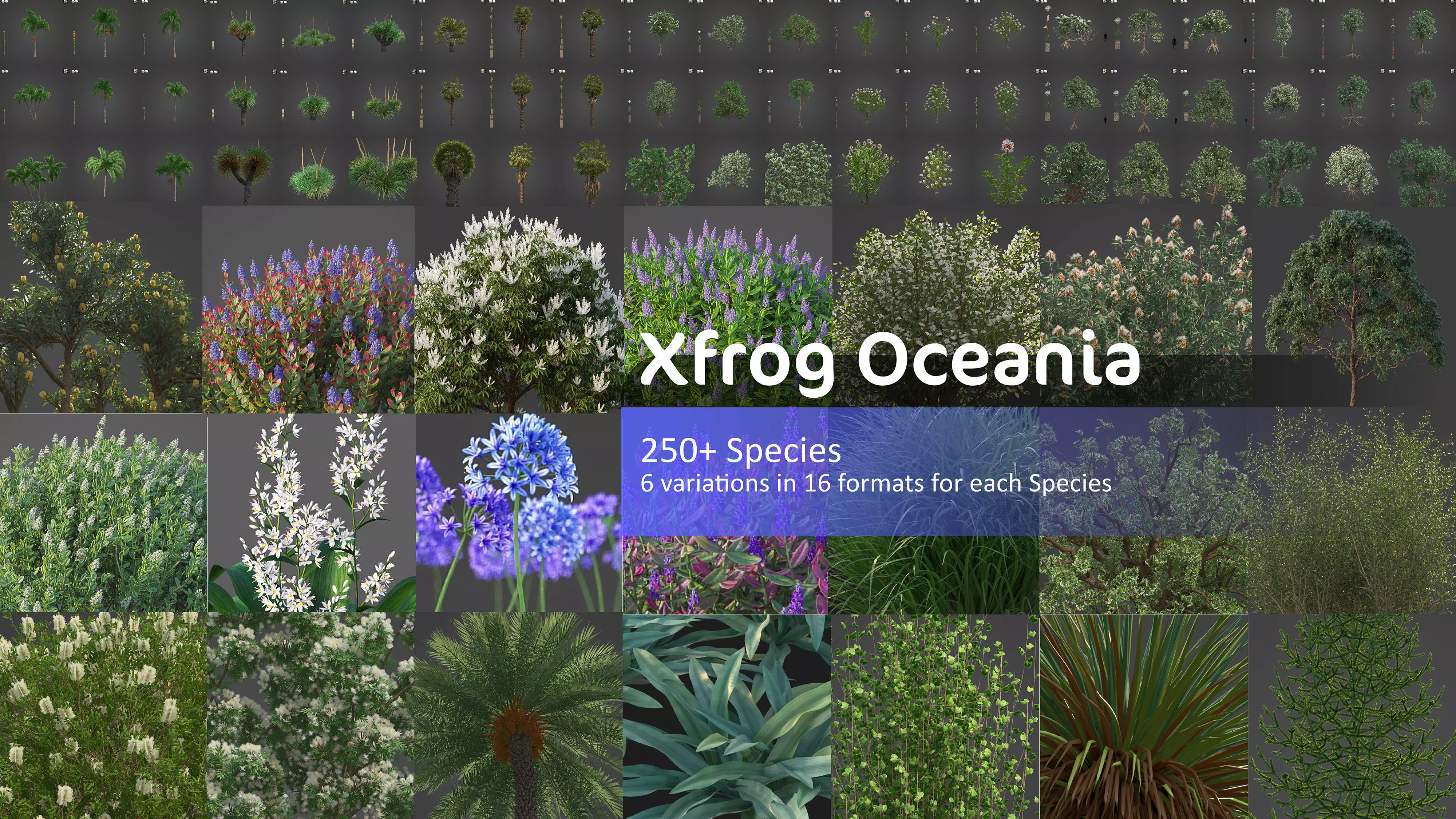 Xfrog Oceania 3D Model Collection_0