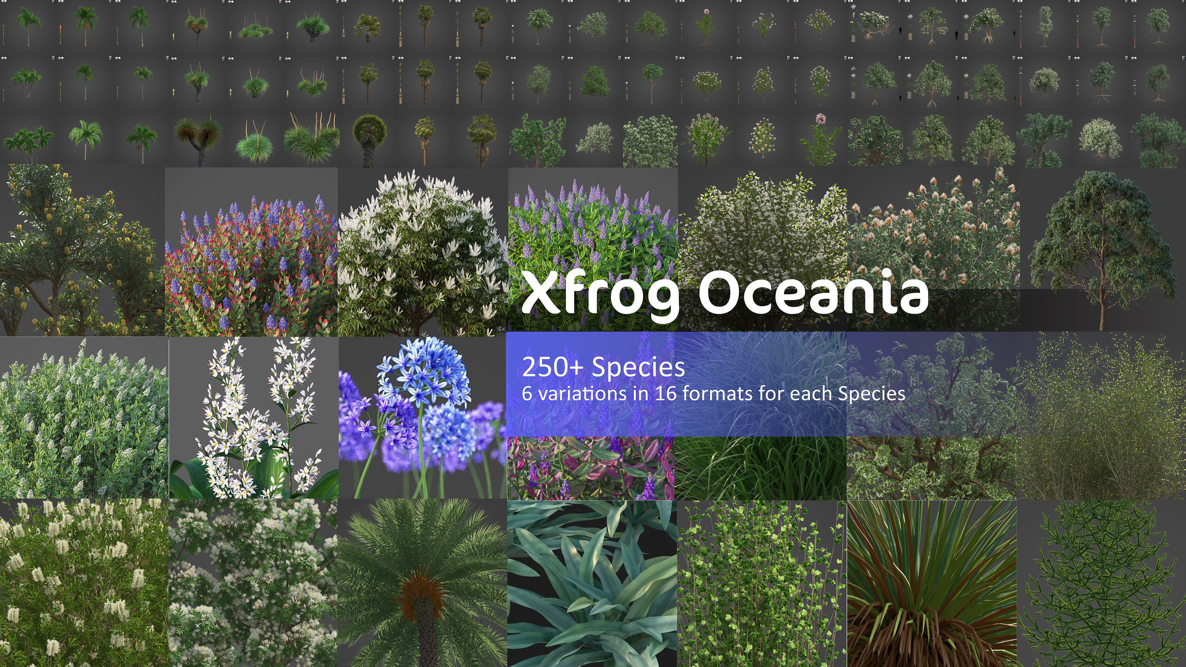 Xfrog Oceania 3D Model Collection_0